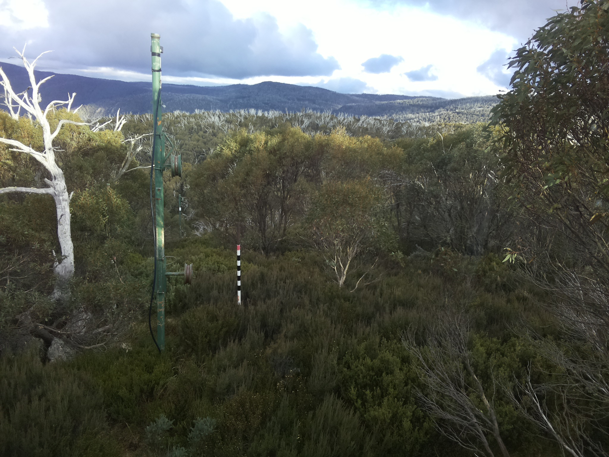 Bogong Web Cam 4:00pm Saturday 17th of May 2025