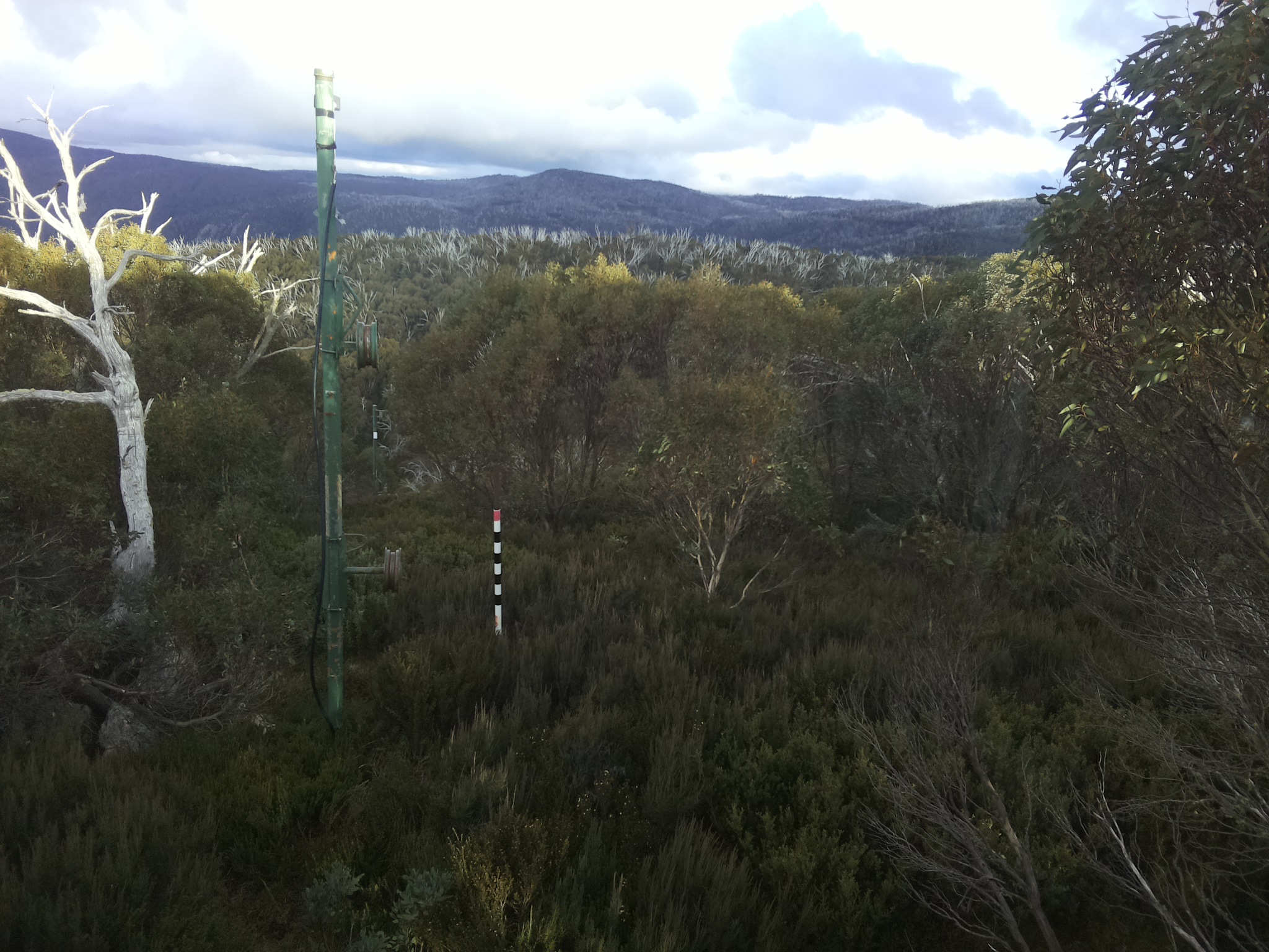 Bogong Web Cam 4:10pm Saturday 17th of May 2025