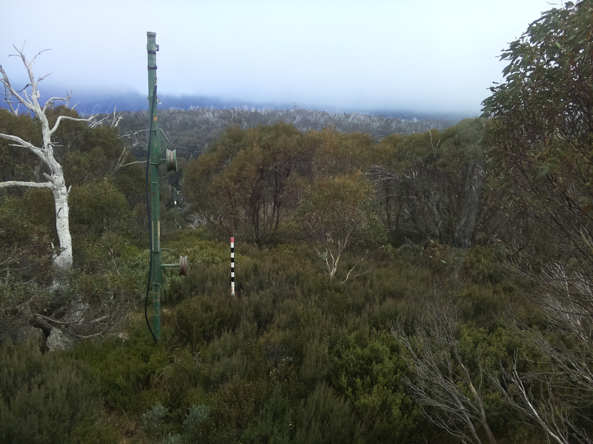 Bogong Web Cam 4:40pm Saturday 17th of May 2025