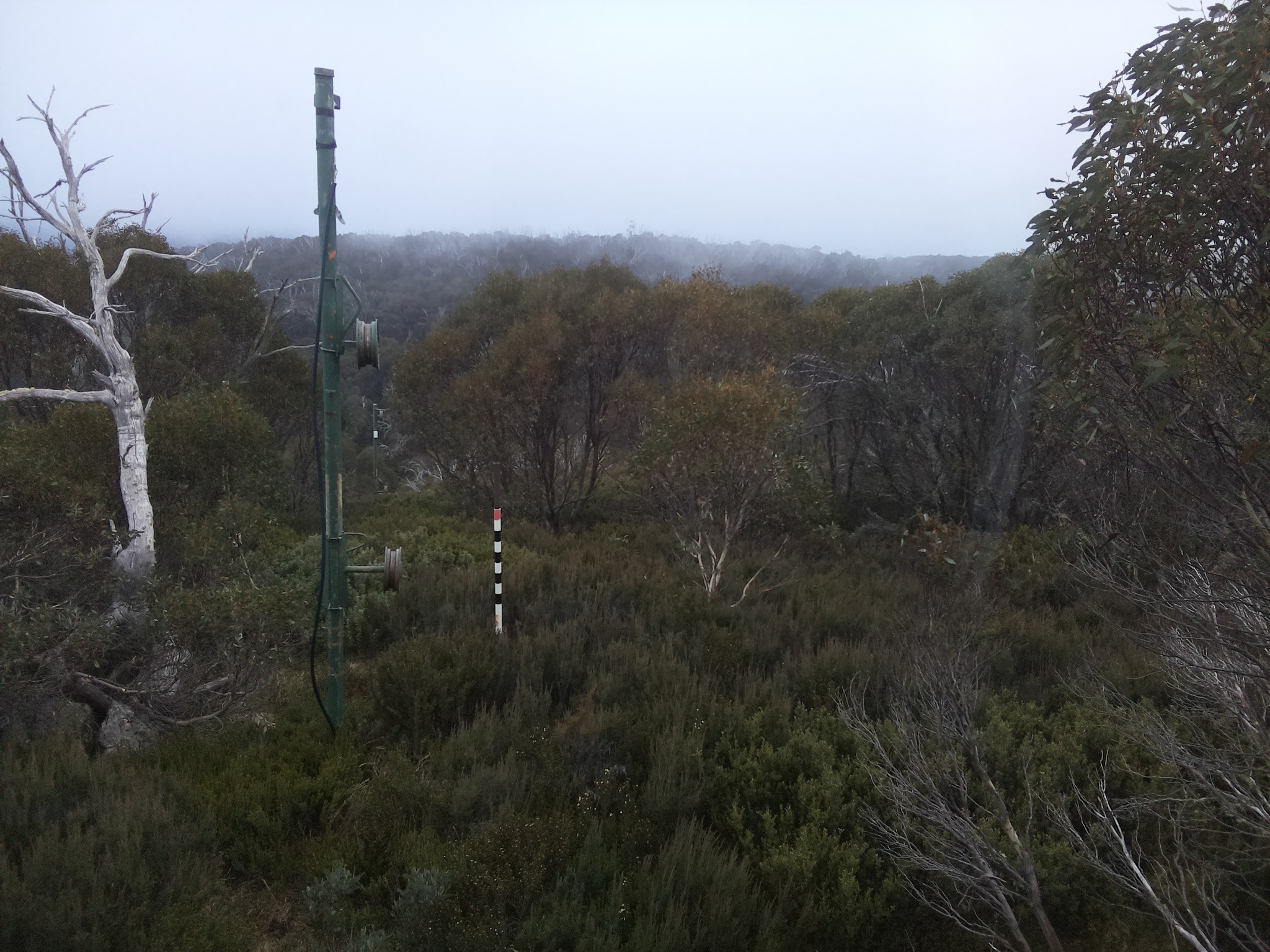 Bogong Web Cam 4:50pm Saturday 17th of May 2025