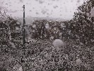 Thumbnail 10:20am Sunday 18th of May 2025