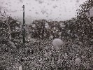 Selected Thumbnail 10:30am Sunday 18th of May 2025
