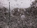 Thumbnail 11:10am Sunday 18th of May 2025