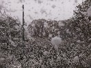 Thumbnail 11:30am Sunday 18th of May 2025
