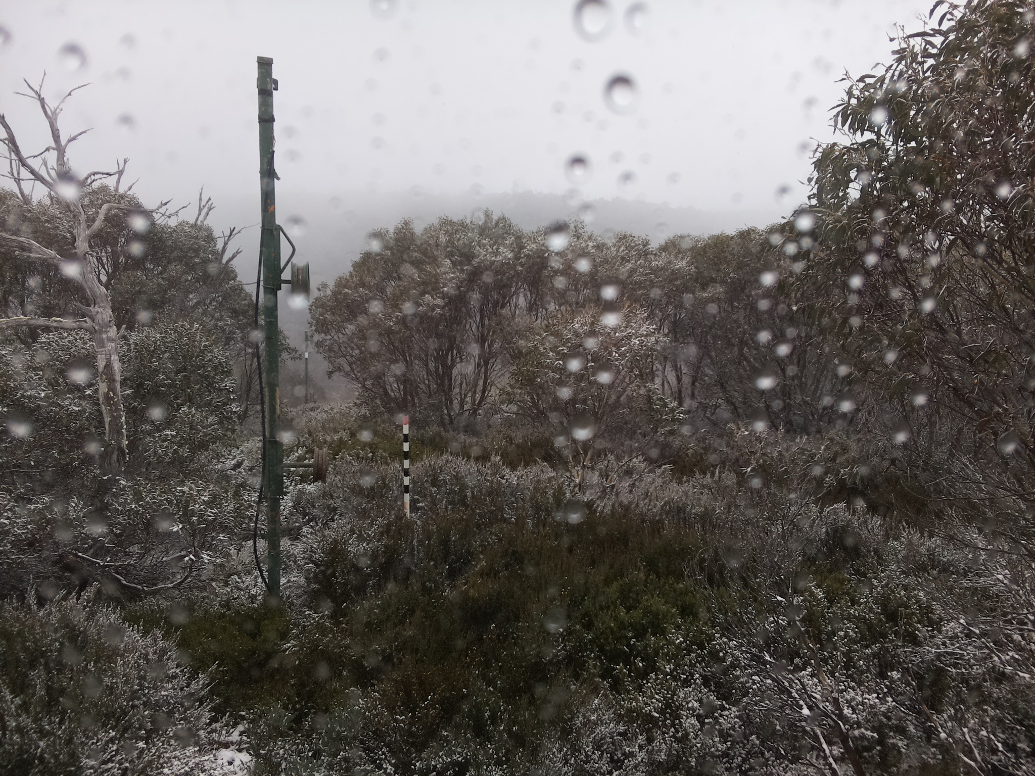Bogong Web Cam 12:30pm Sunday 18th of May 2025