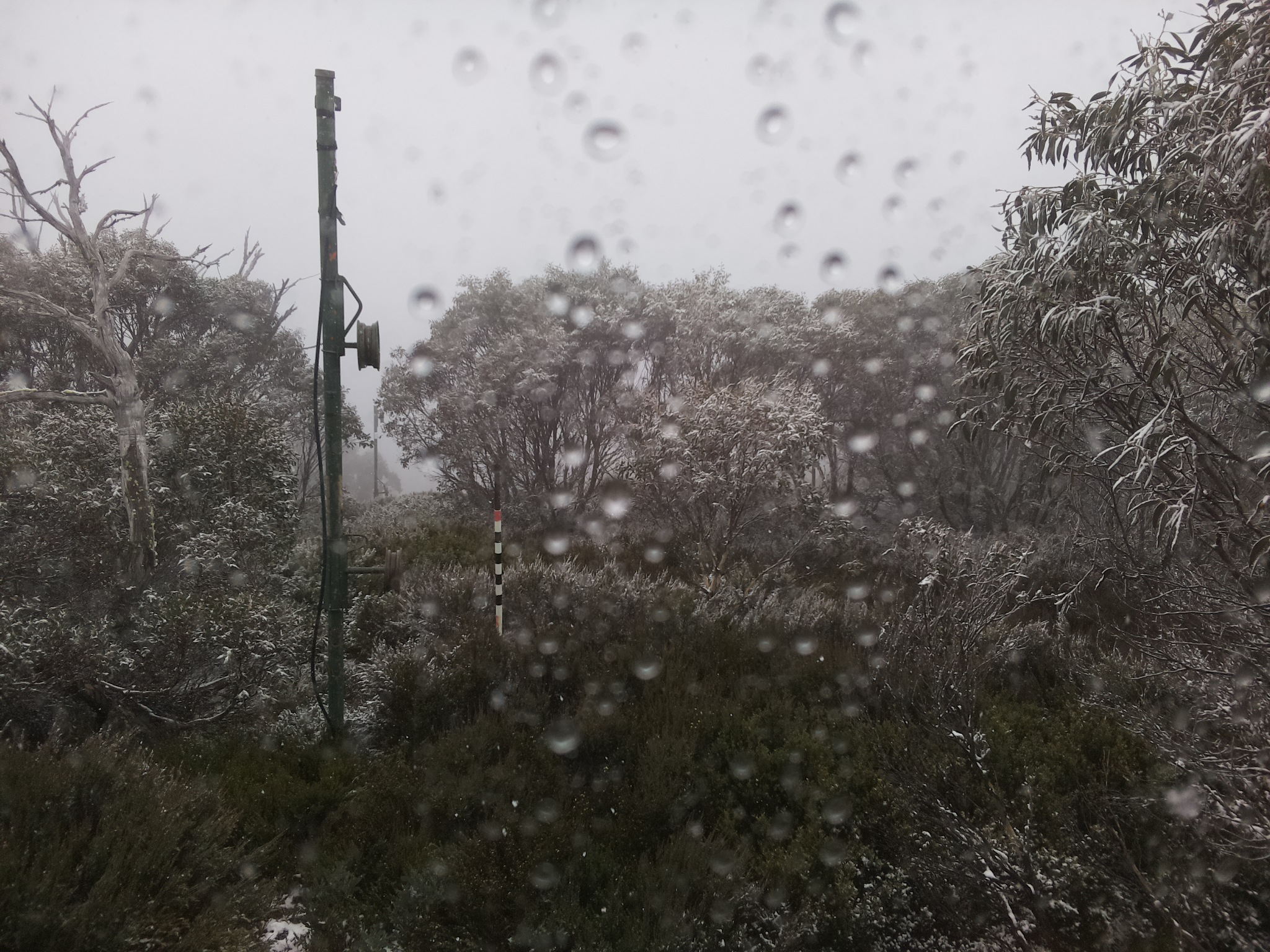 Bogong Web Cam 1:40pm Sunday 18th of May 2025