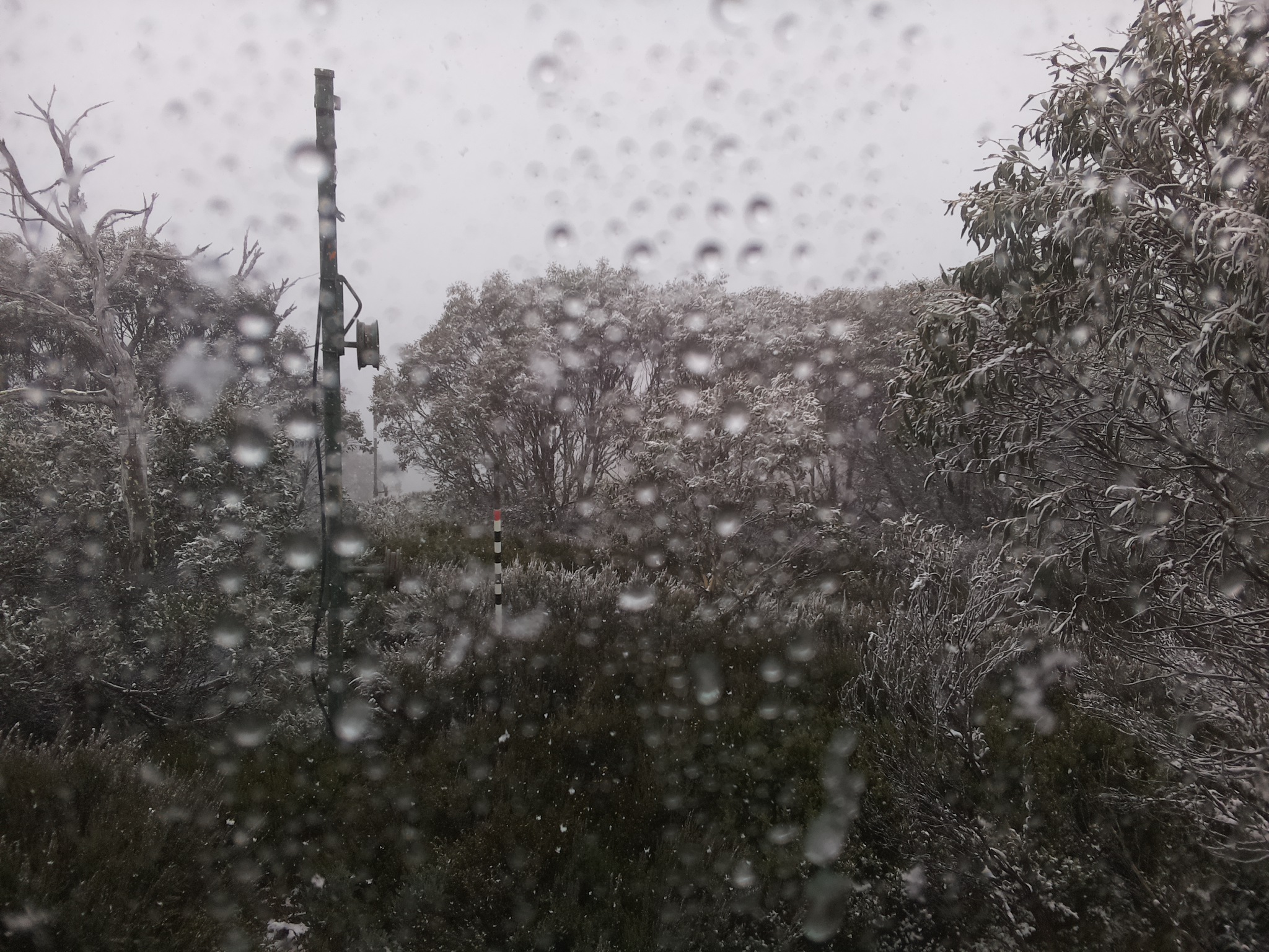 Bogong Web Cam 3:00pm Sunday 18th of May 2025