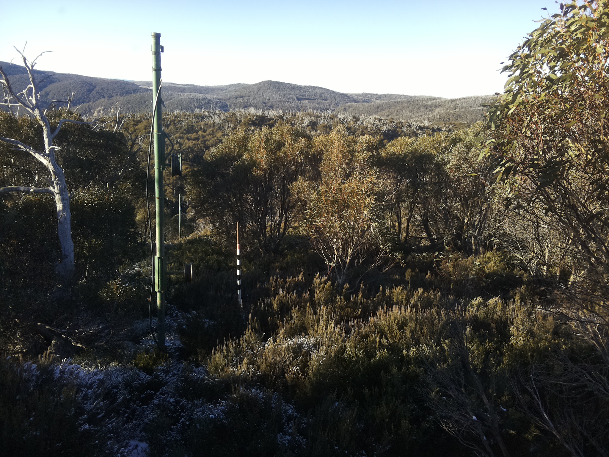 Bogong Web Cam 8:20am Tuesday 20th of May 2025
