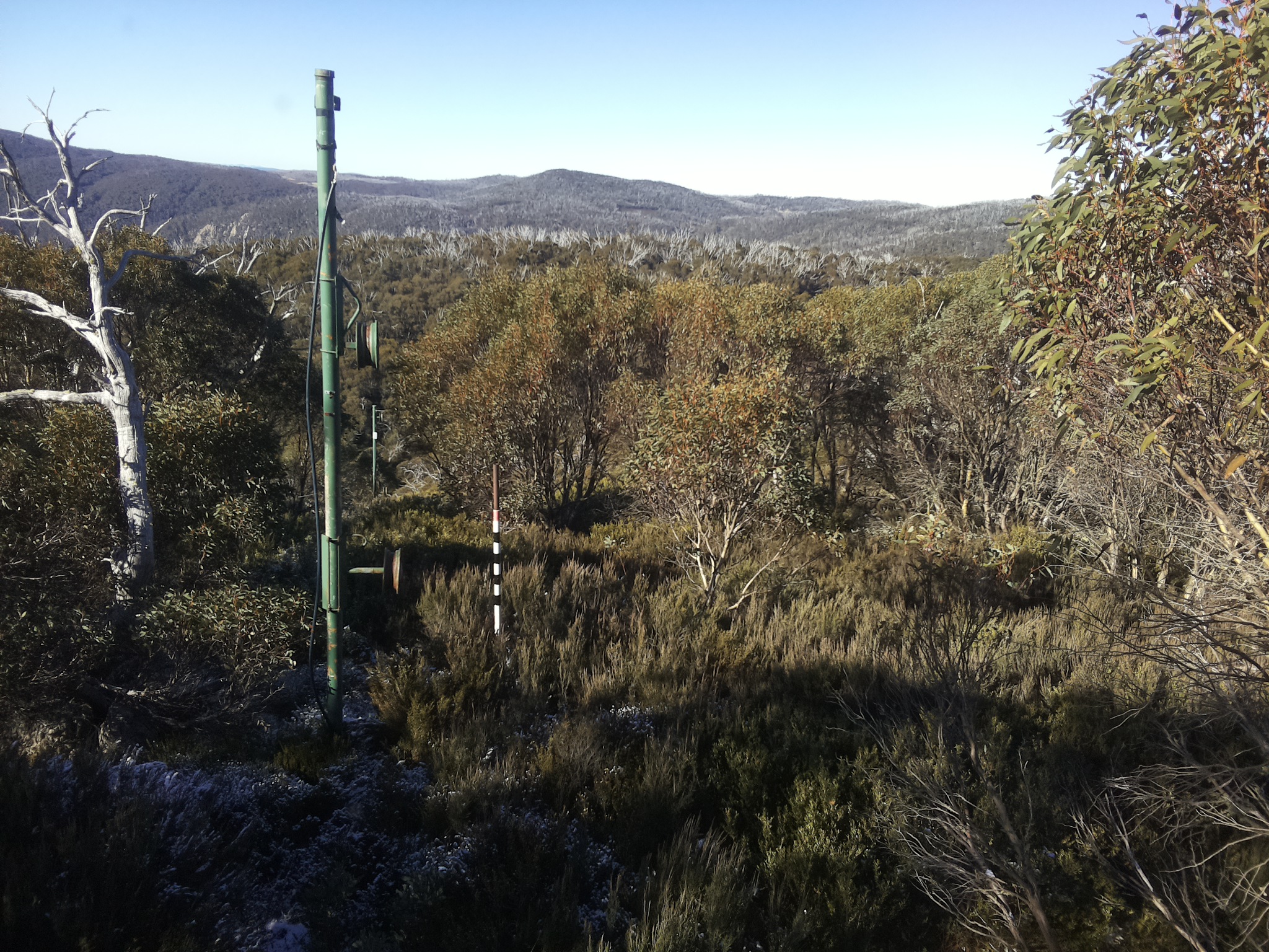 Bogong Web Cam 10:00am Tuesday 20th of May 2025