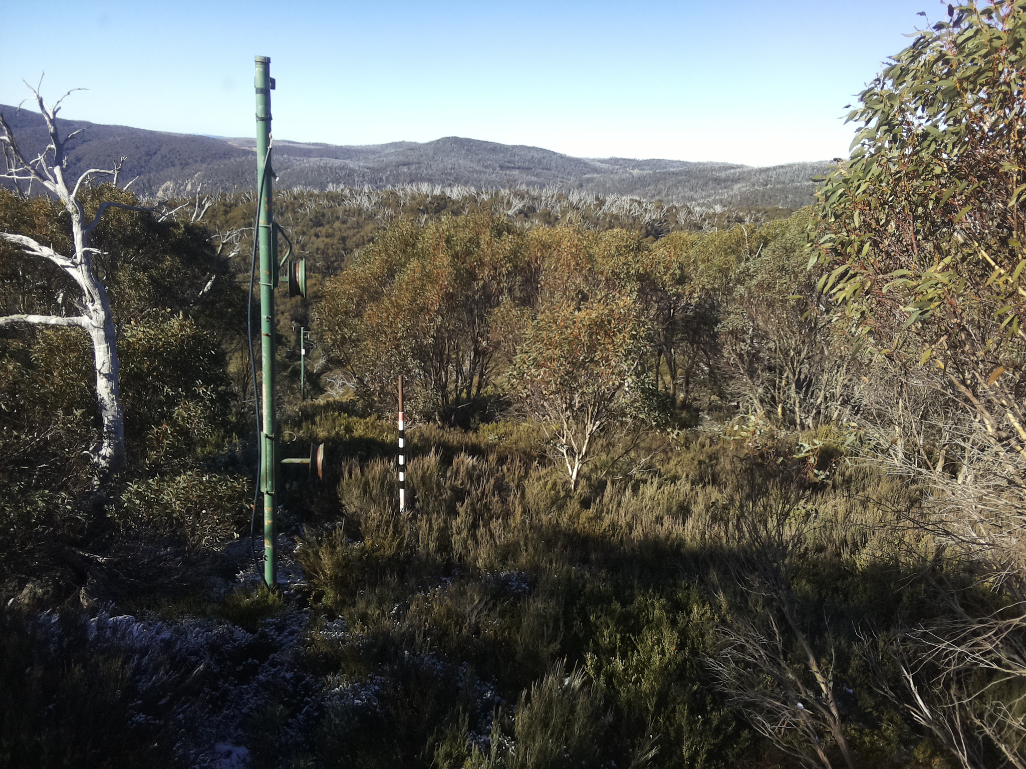 Bogong Web Cam 10:10am Tuesday 20th of May 2025