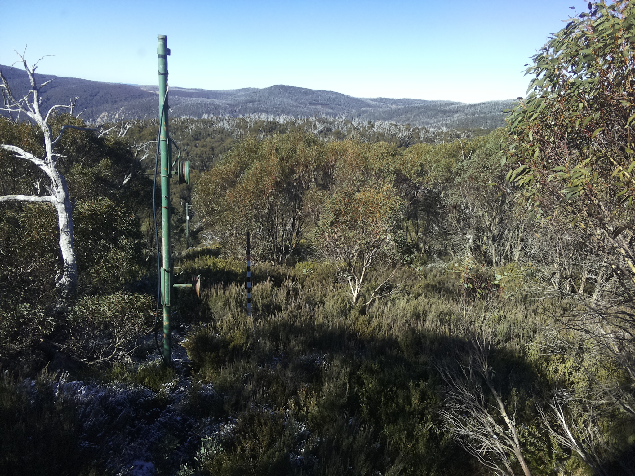 Bogong Web Cam 10:40am Tuesday 20th of May 2025