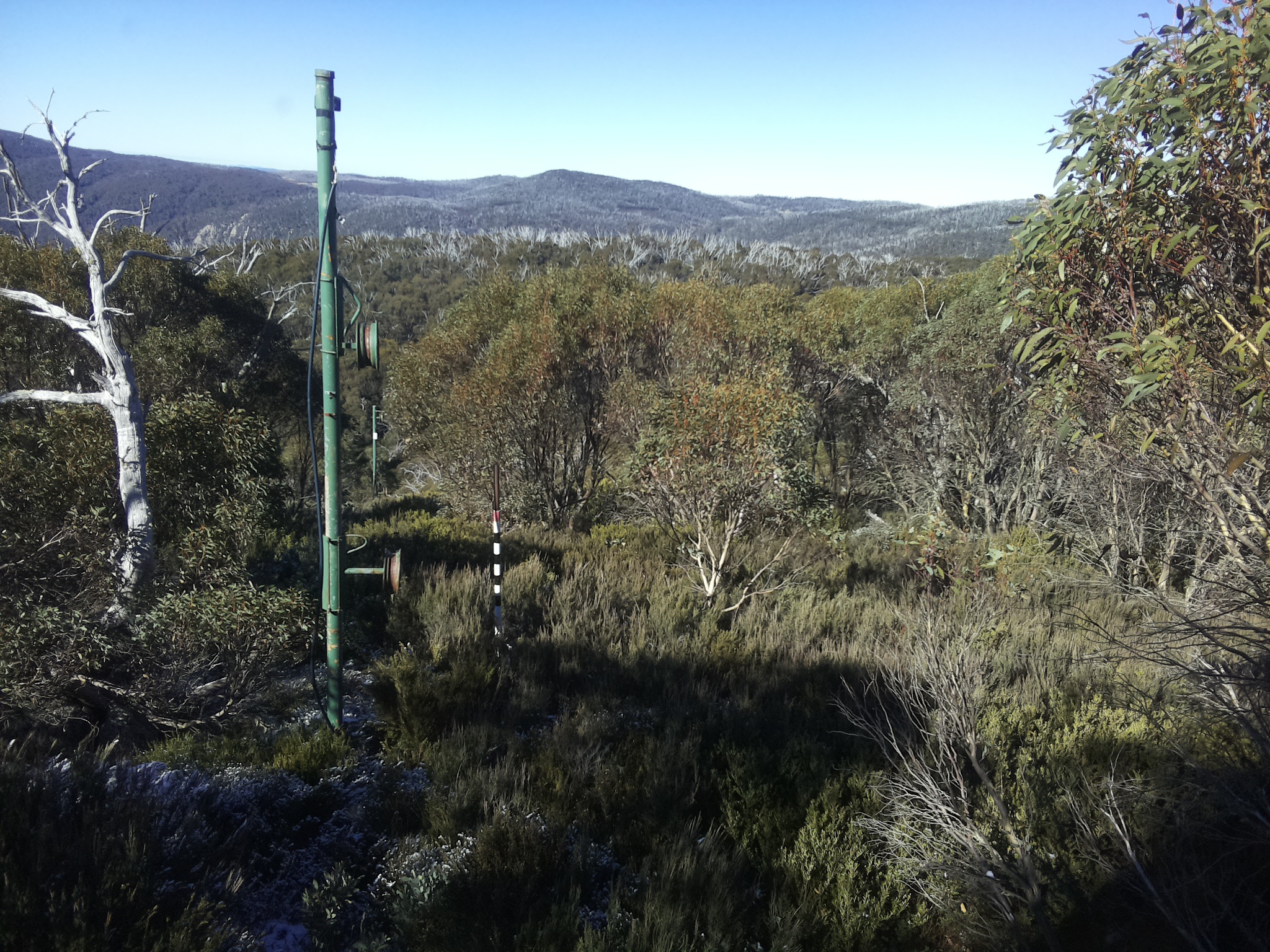 Bogong Web Cam 11:00am Tuesday 20th of May 2025