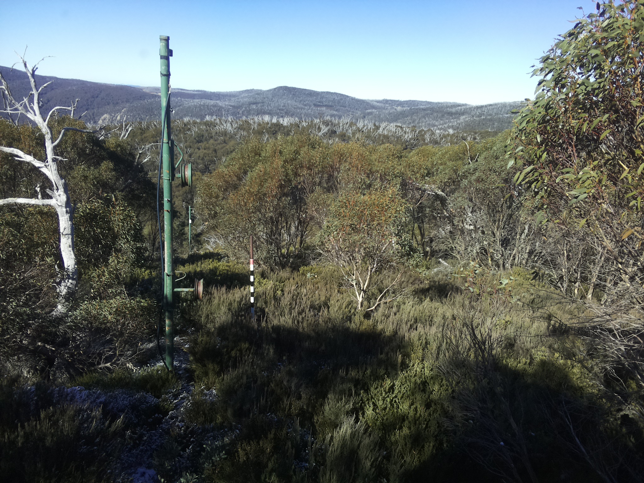 Bogong Web Cam 11:30am Tuesday 20th of May 2025