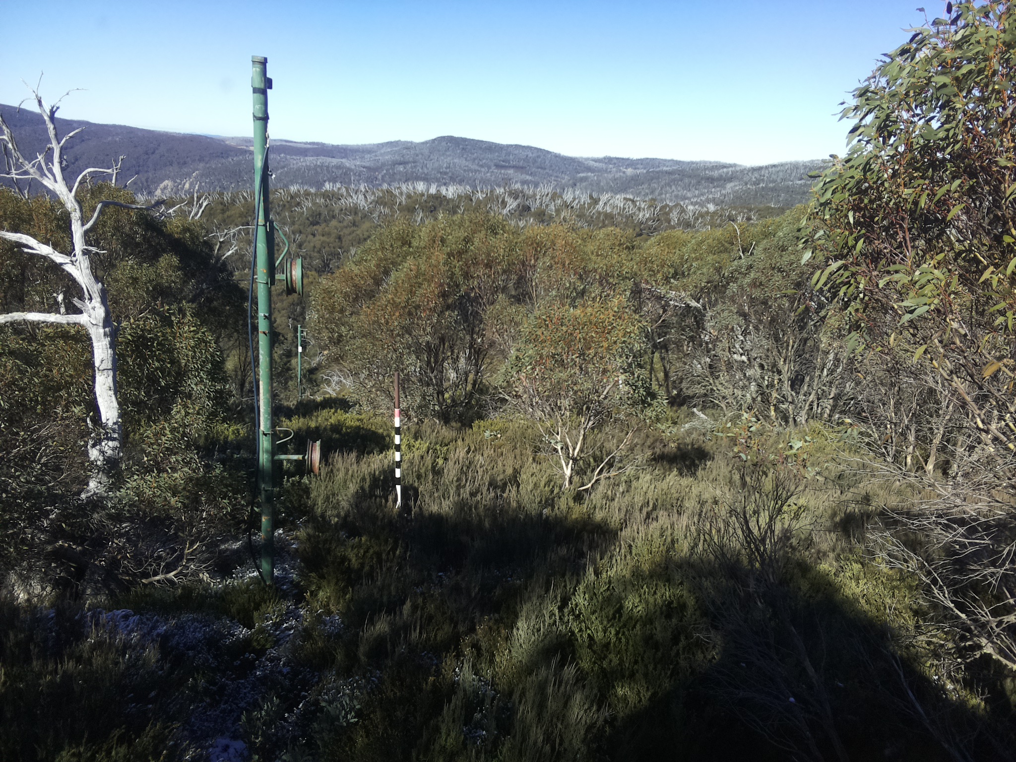 Bogong Web Cam 11:40am Tuesday 20th of May 2025