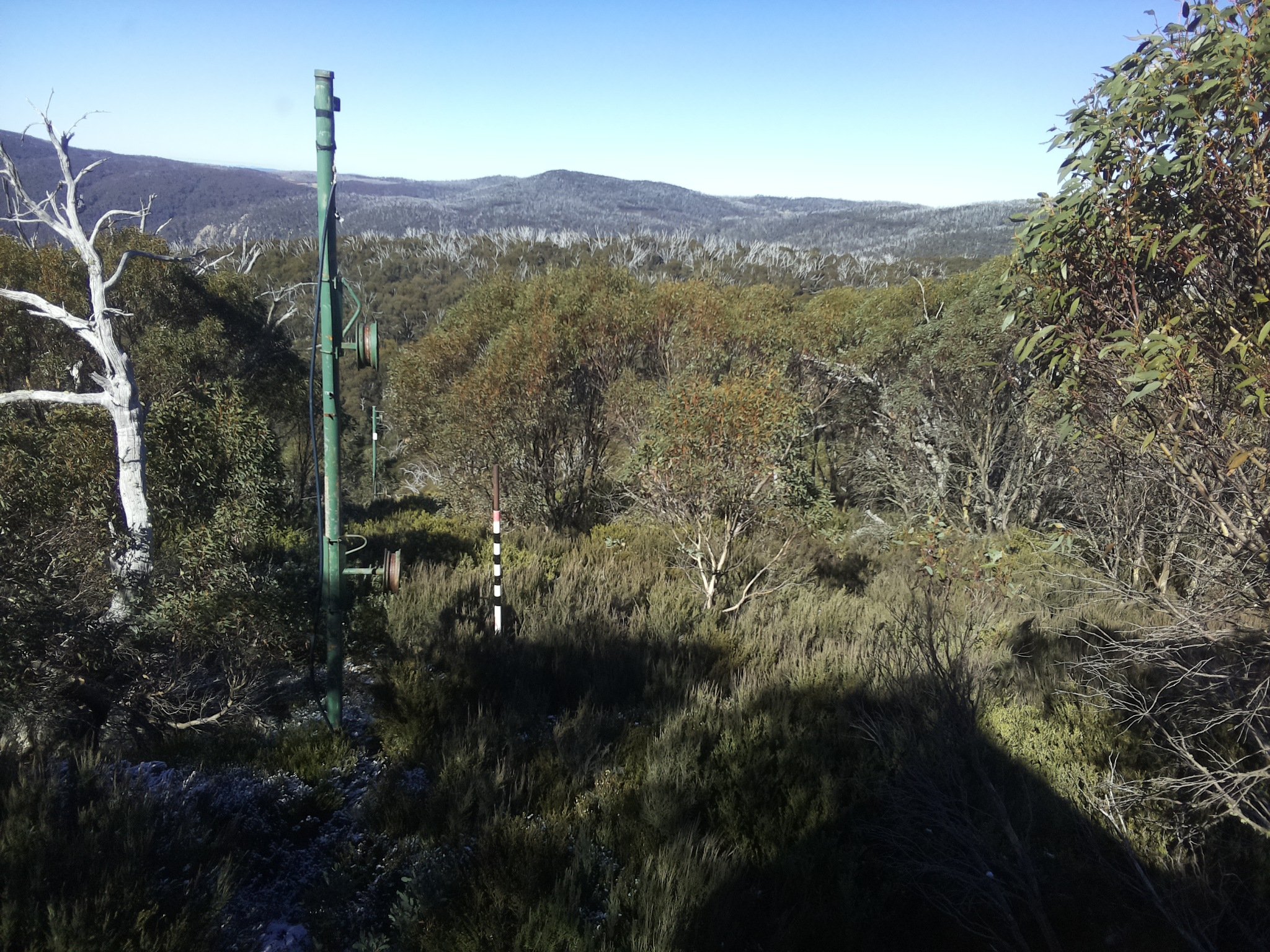 Bogong Web Cam 11:50am Tuesday 20th of May 2025