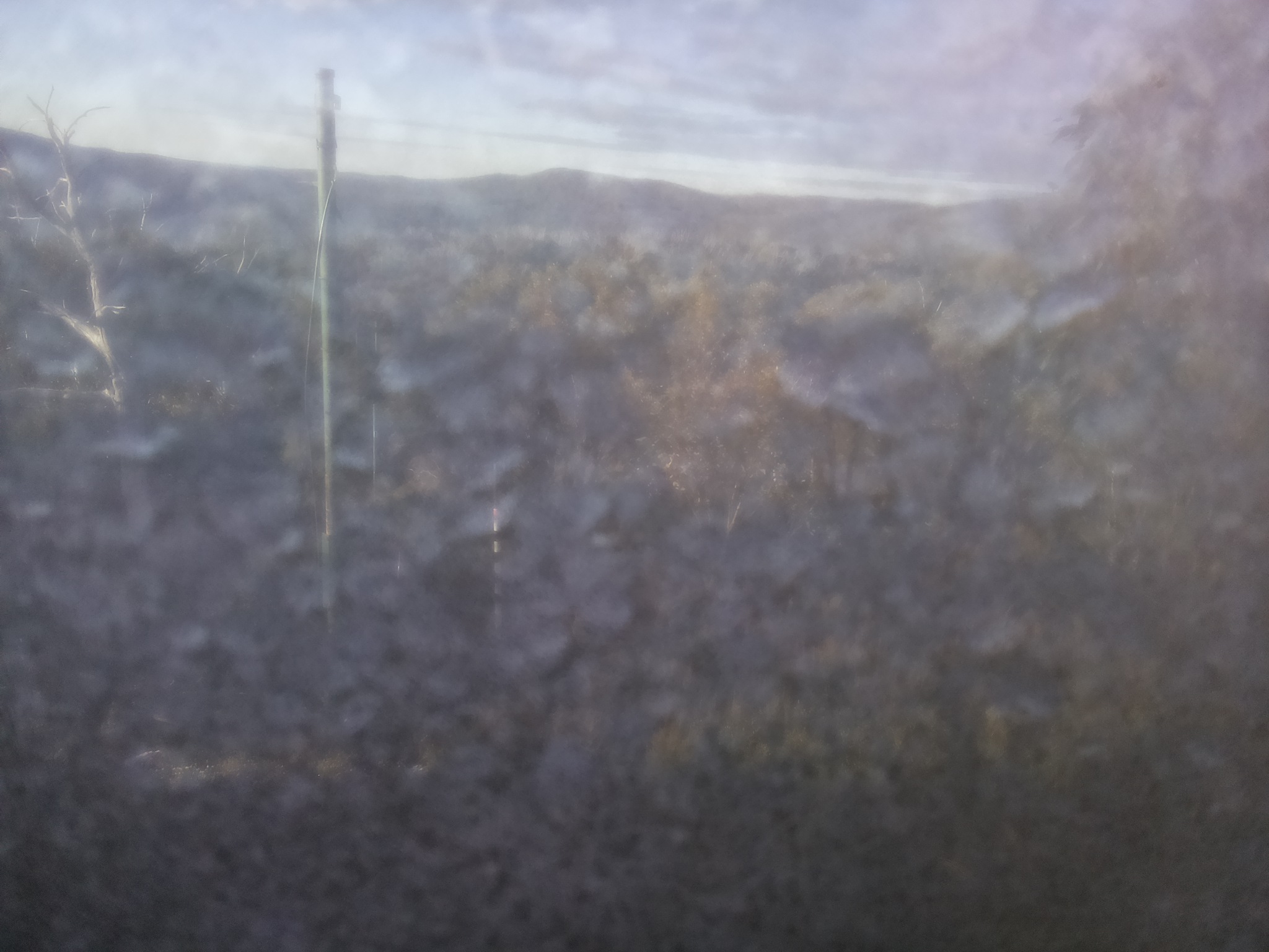 Bogong Web Cam 8:10am Wednesday 21st of May 2025