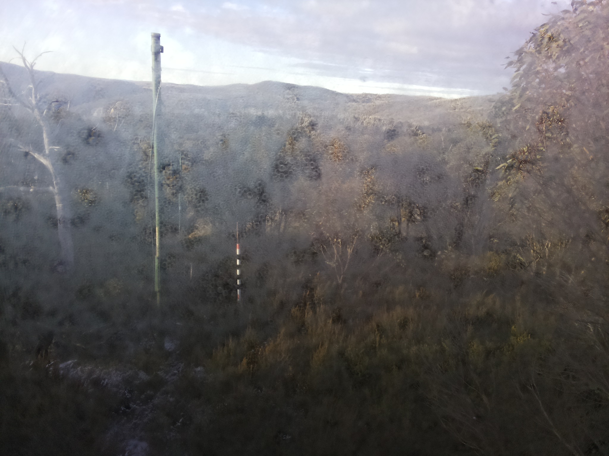 Bogong Web Cam 8:20am Wednesday 21st of May 2025