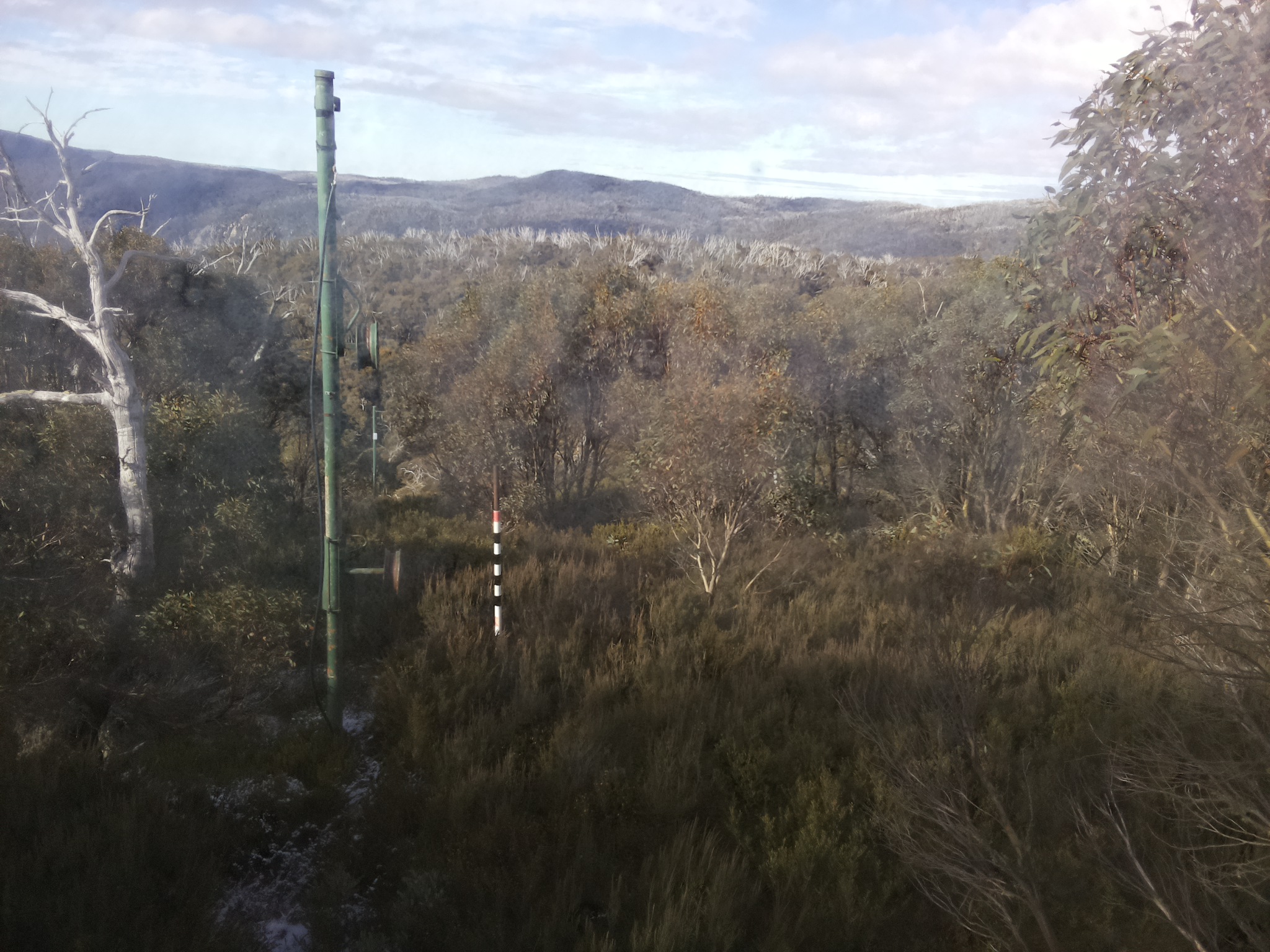 Bogong Web Cam 10:00am Wednesday 21st of May 2025