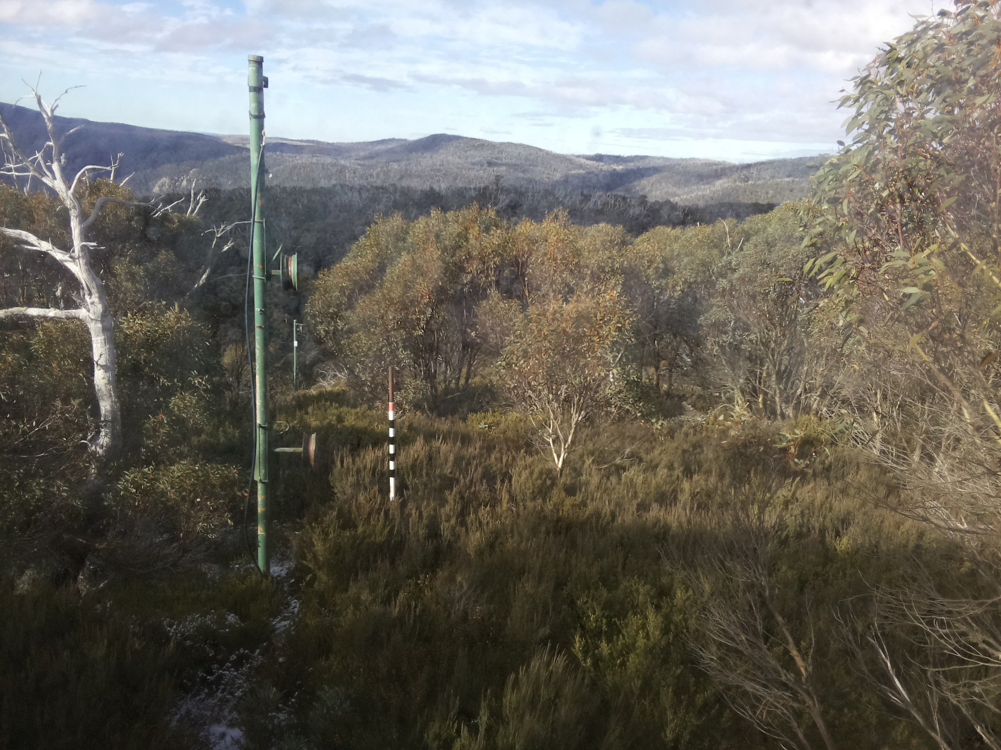 Bogong Web Cam 10:10am Wednesday 21st of May 2025