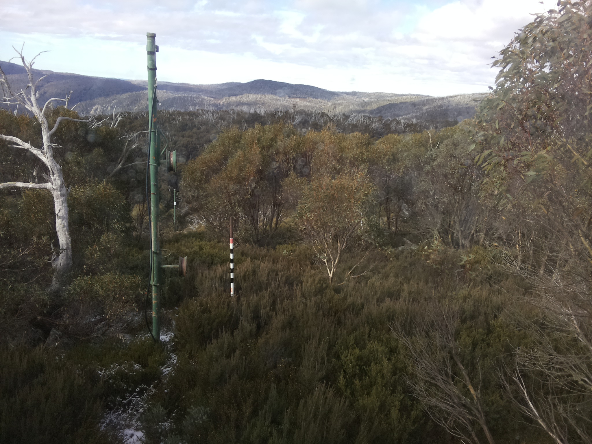 Bogong Web Cam 10:20am Wednesday 21st of May 2025