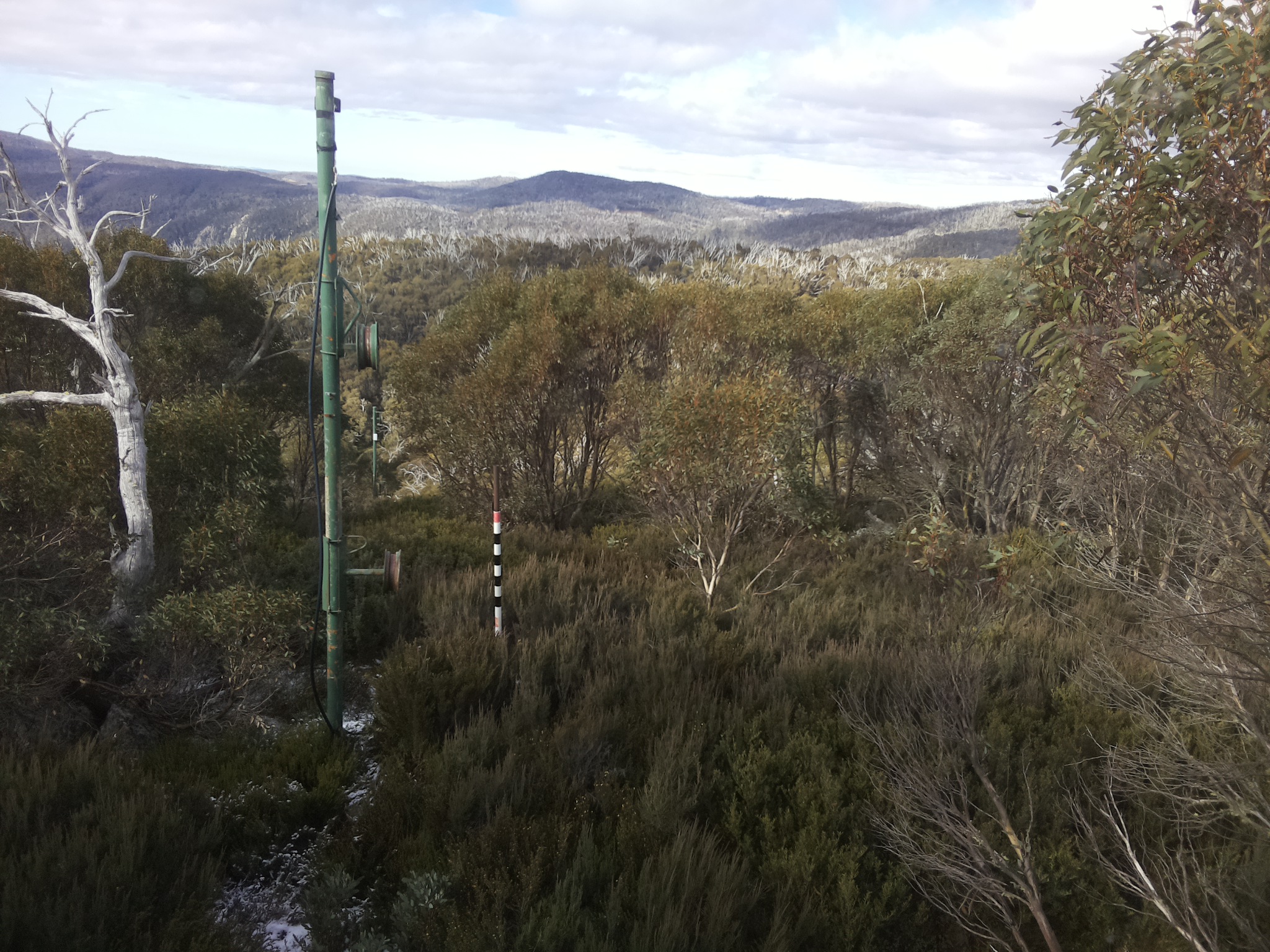 Bogong Web Cam 10:30am Wednesday 21st of May 2025