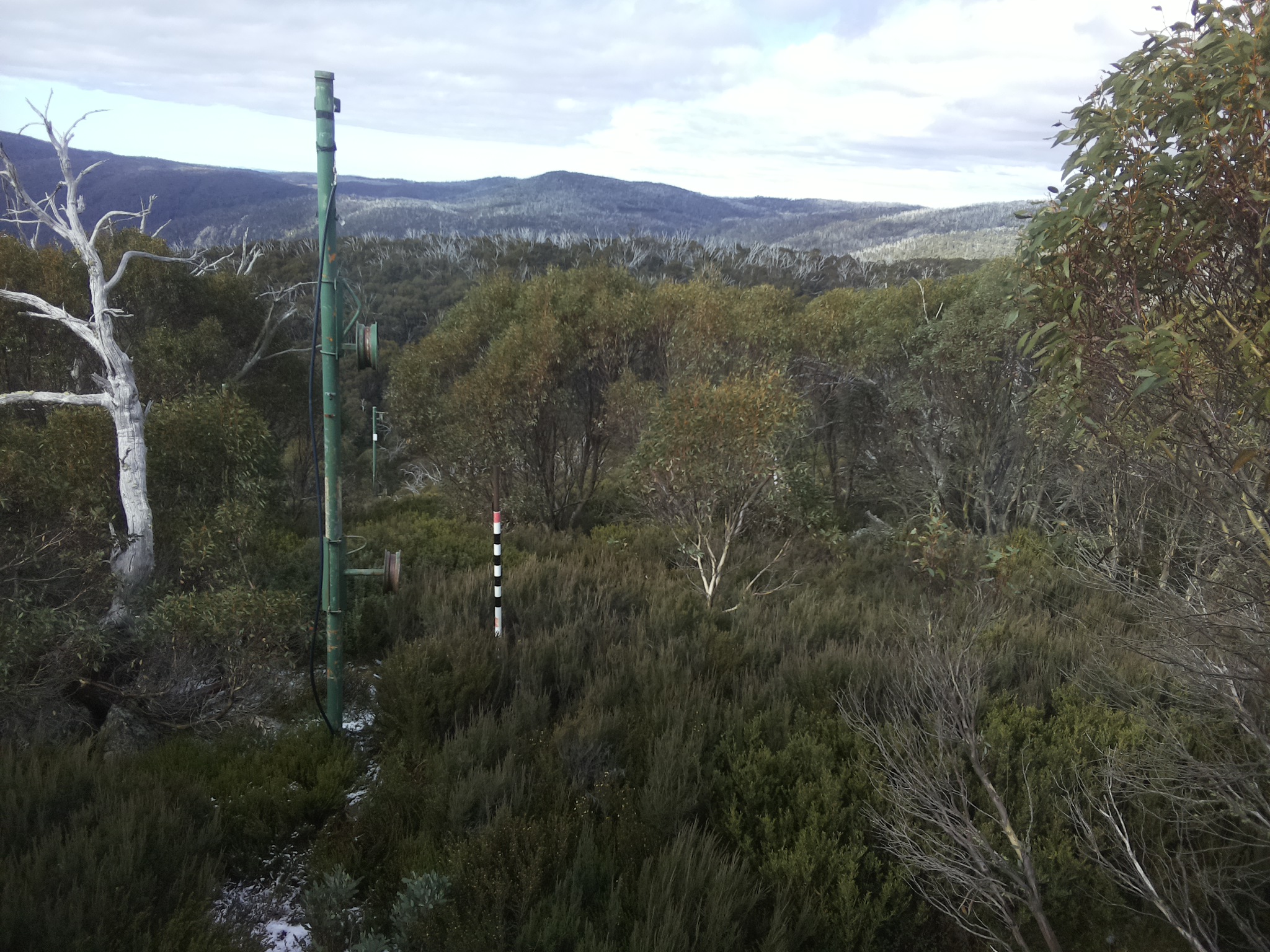 Bogong Web Cam 10:50am Wednesday 21st of May 2025