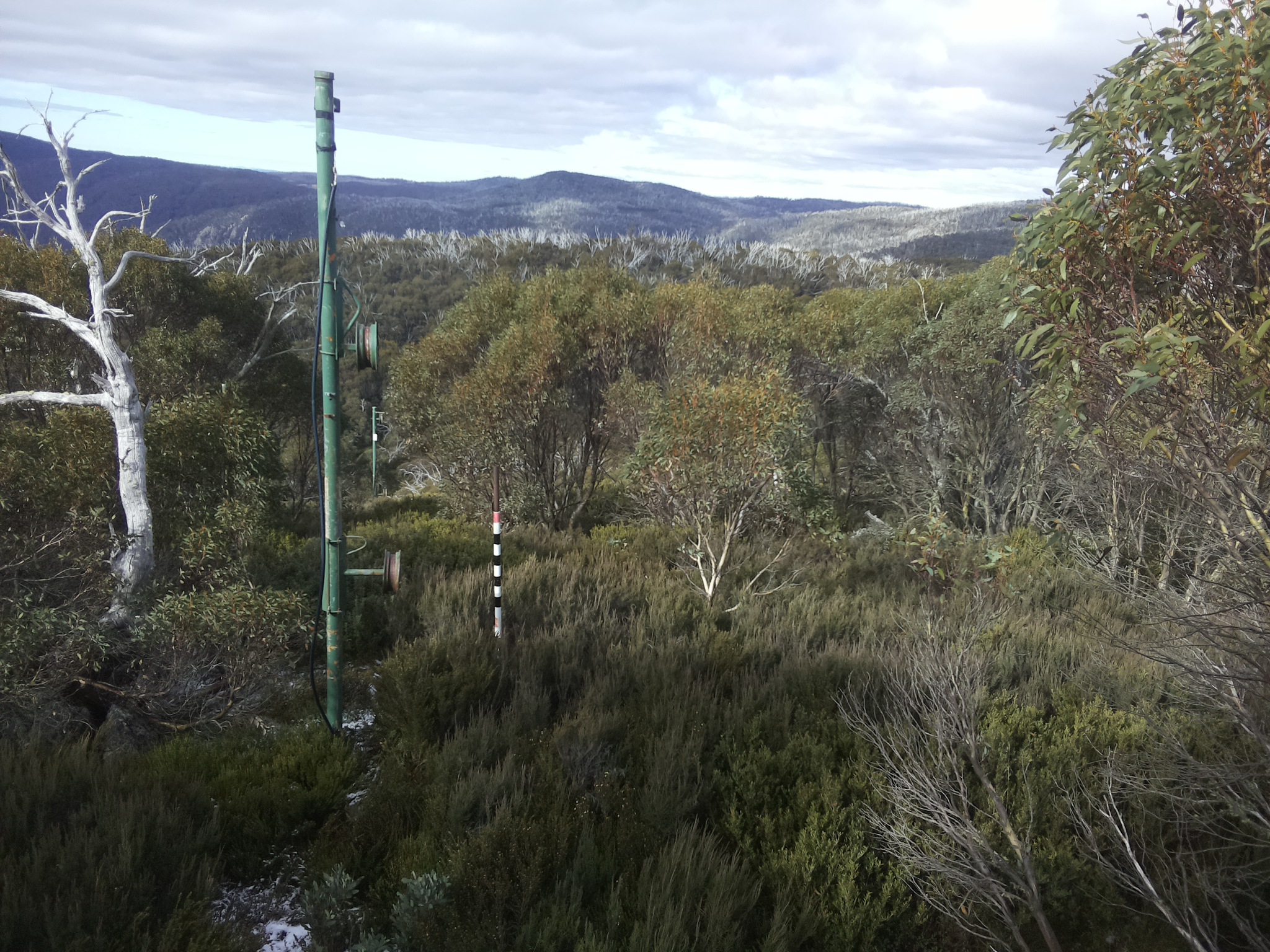 Bogong Web Cam 11:00am Wednesday 21st of May 2025