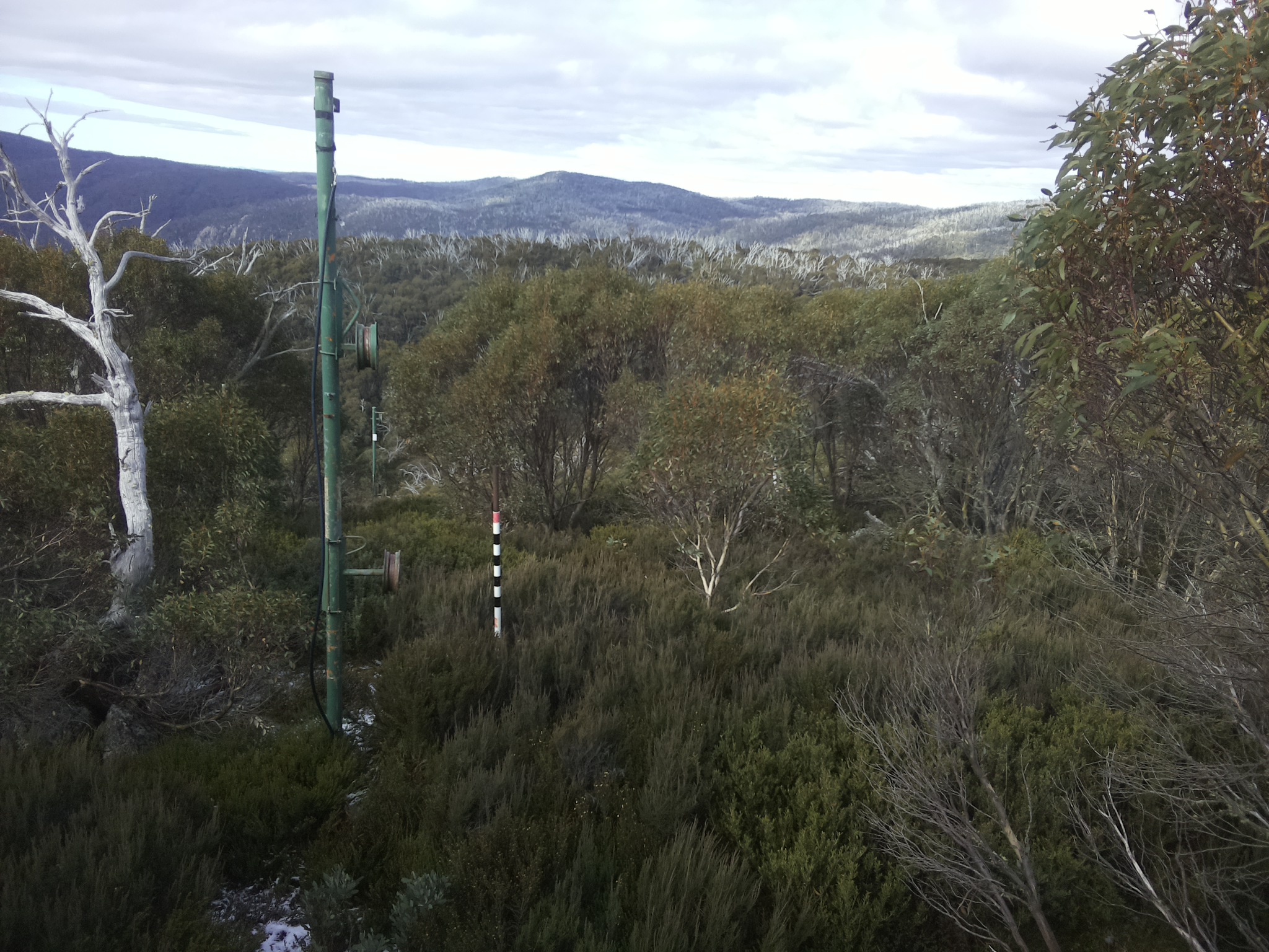 Bogong Web Cam 11:10am Wednesday 21st of May 2025