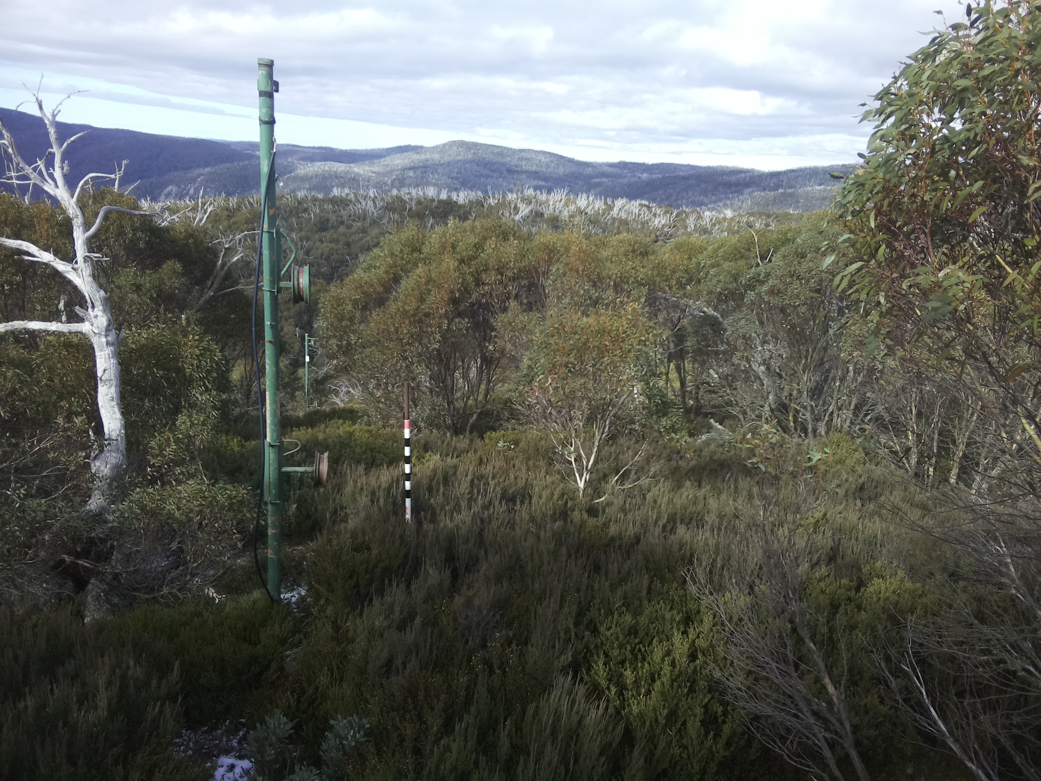 Bogong Web Cam 11:20am Wednesday 21st of May 2025