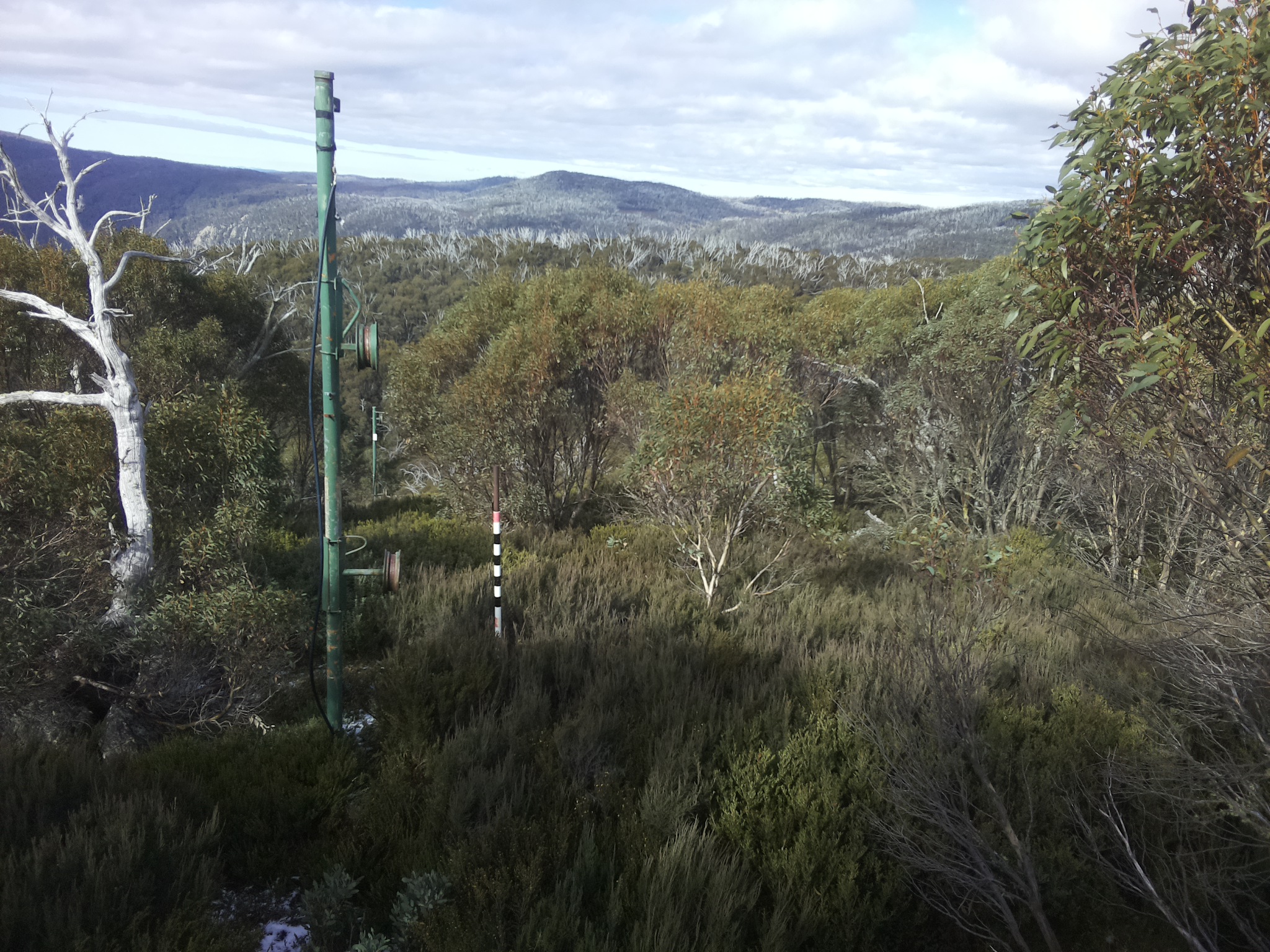 Bogong Web Cam 11:30am Wednesday 21st of May 2025