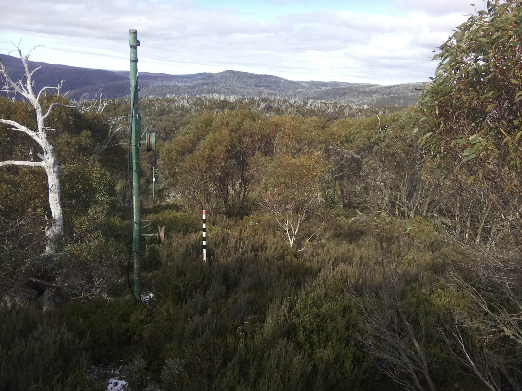 Bogong Web Cam 11:40am Wednesday 21st of May 2025
