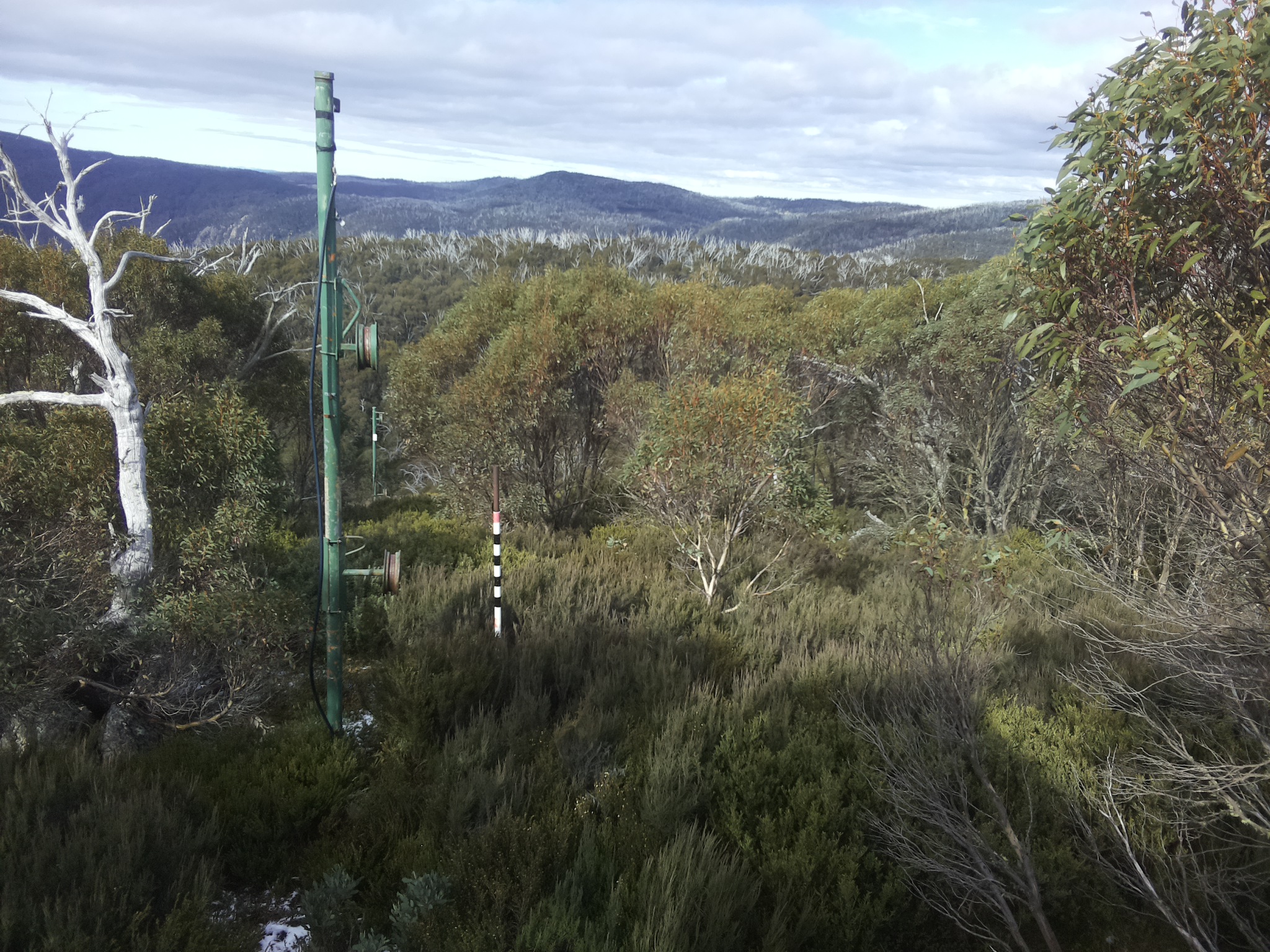 Bogong Web Cam 11:50am Wednesday 21st of May 2025