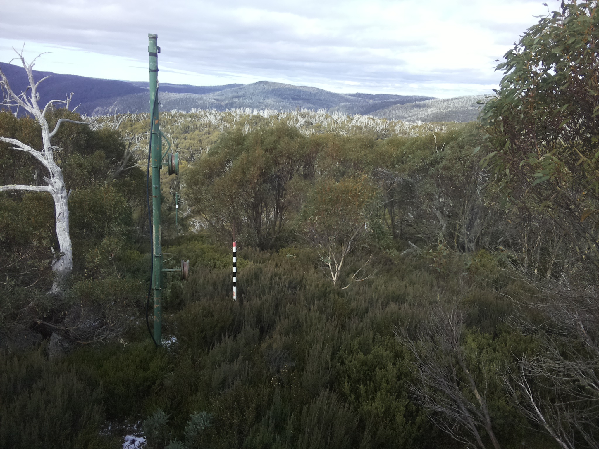 Bogong Web Cam 12:00pm Wednesday 21st of May 2025