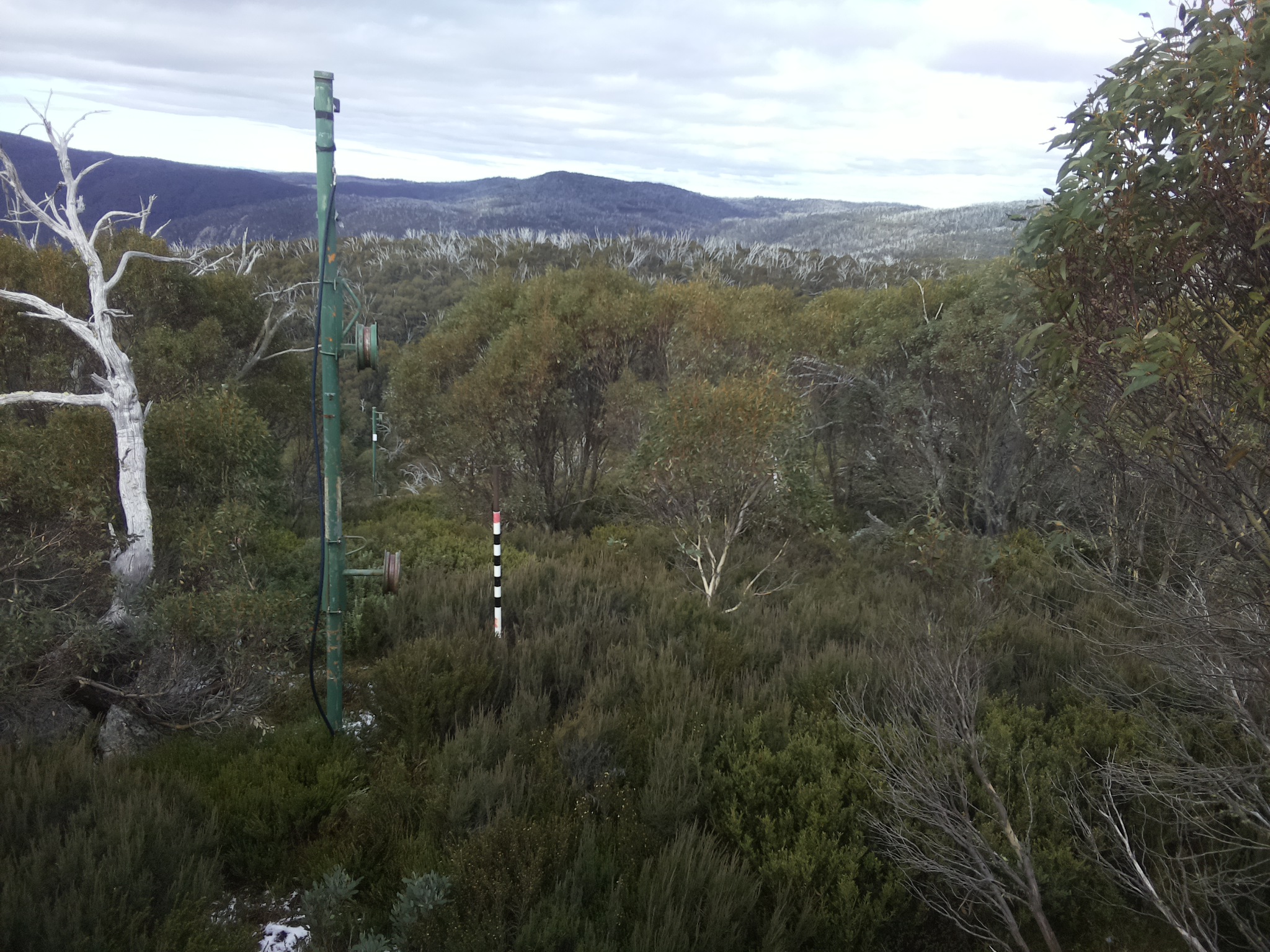 Bogong Web Cam 12:10pm Wednesday 21st of May 2025