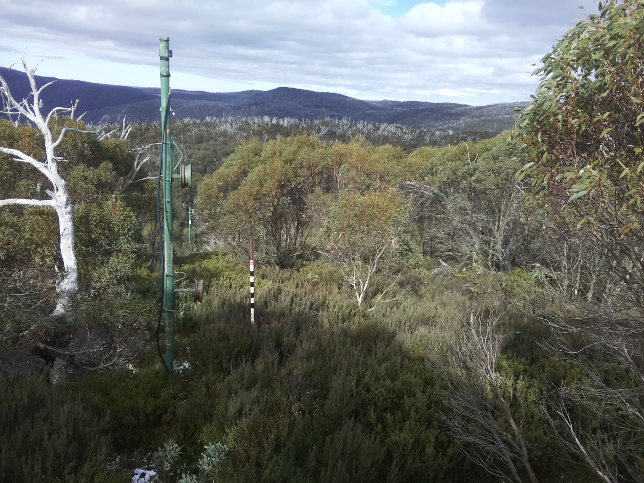 Bogong Web Cam 12:20pm Wednesday 21st of May 2025