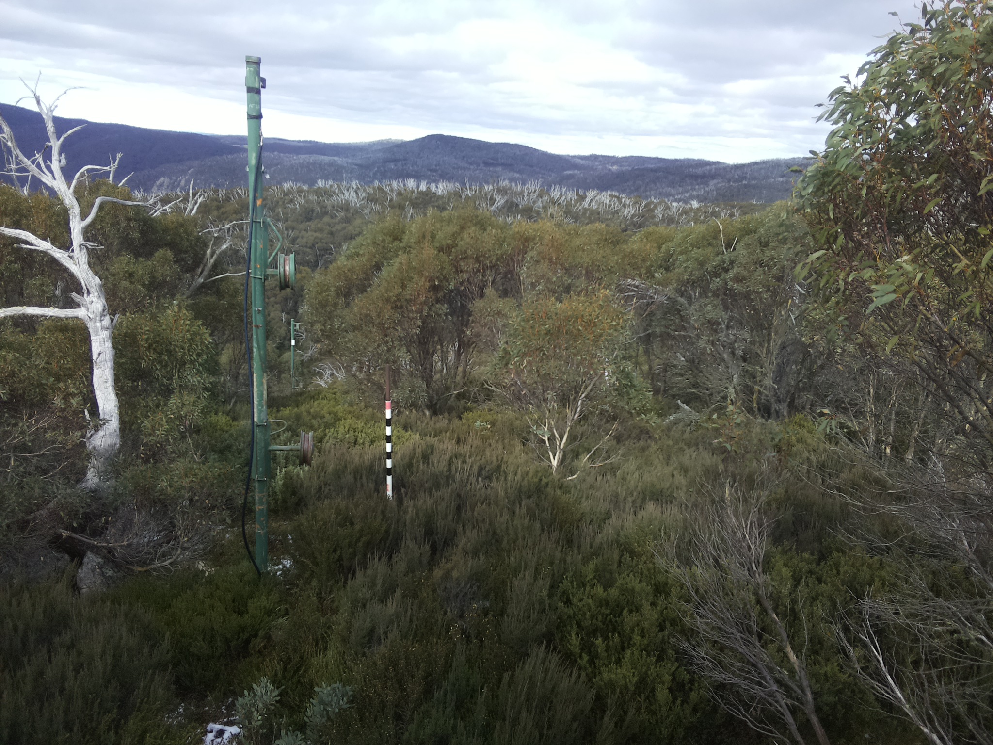 Bogong Web Cam 12:30pm Wednesday 21st of May 2025