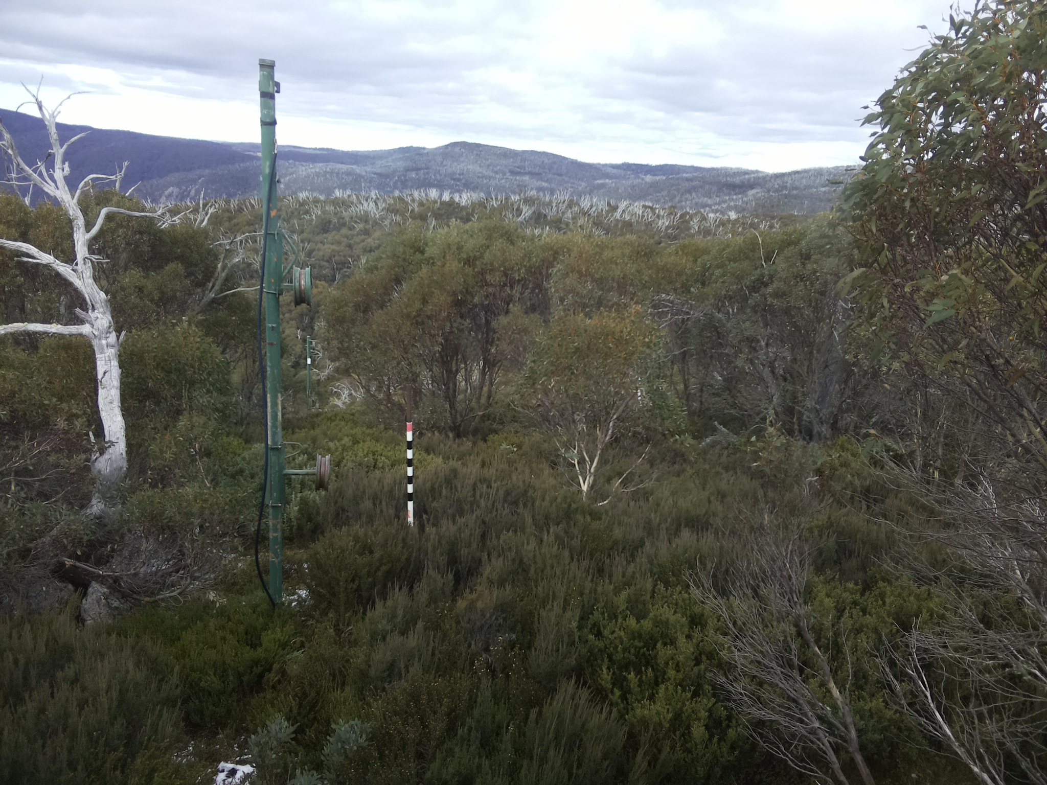 Bogong Web Cam 12:40pm Wednesday 21st of May 2025