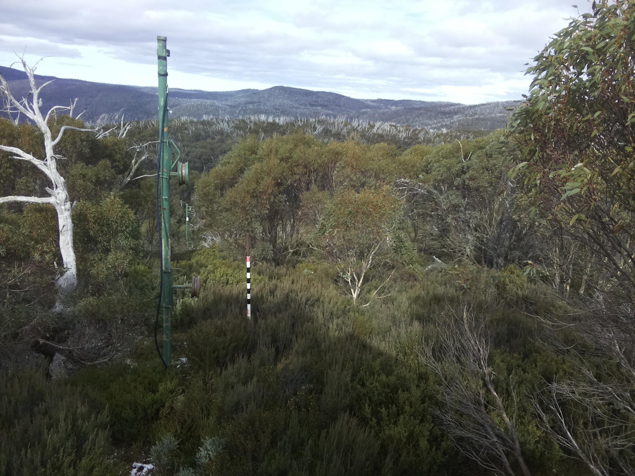 Bogong Web Cam 12:50pm Wednesday 21st of May 2025