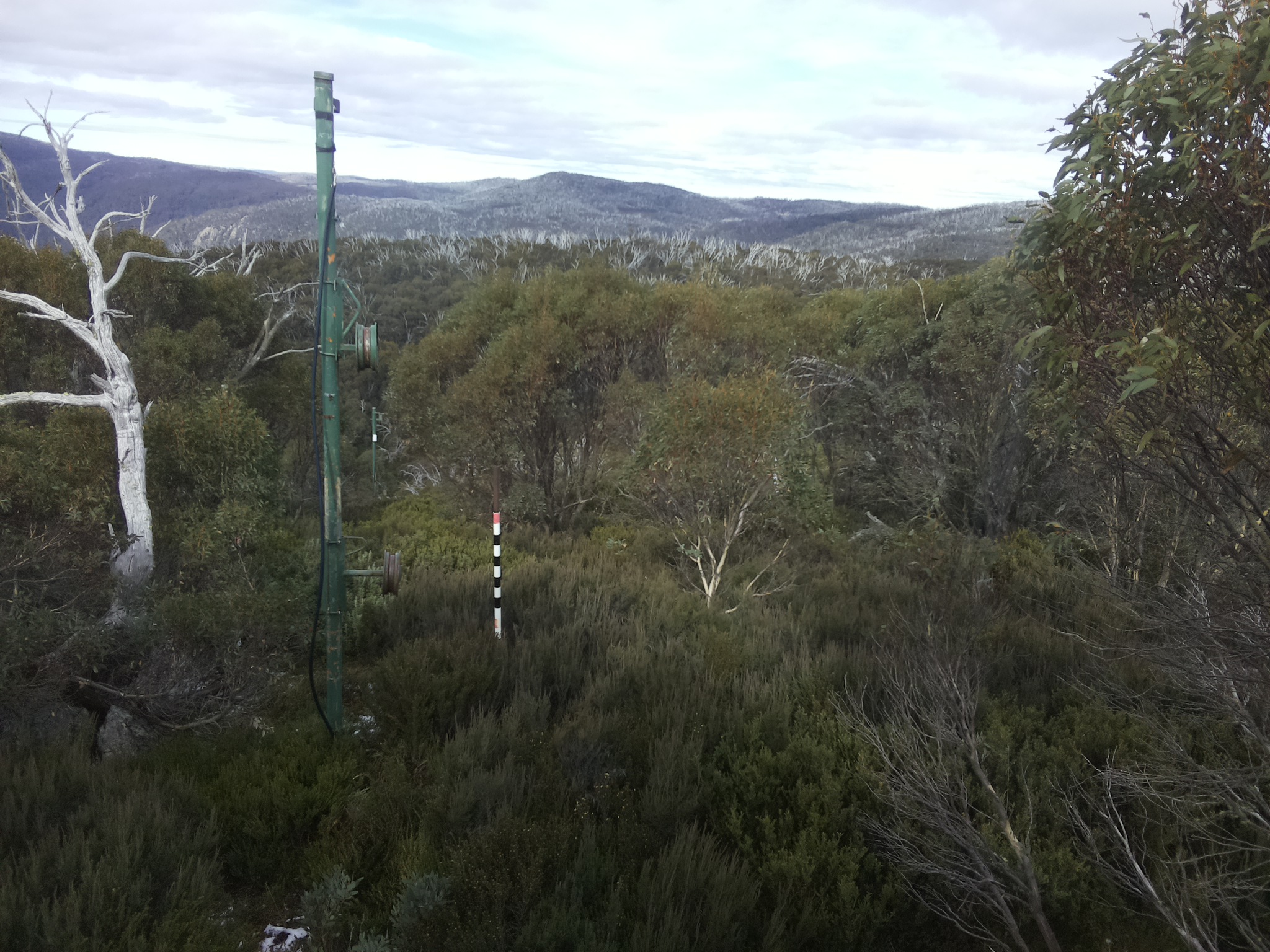 Bogong Web Cam 1:00pm Wednesday 21st of May 2025