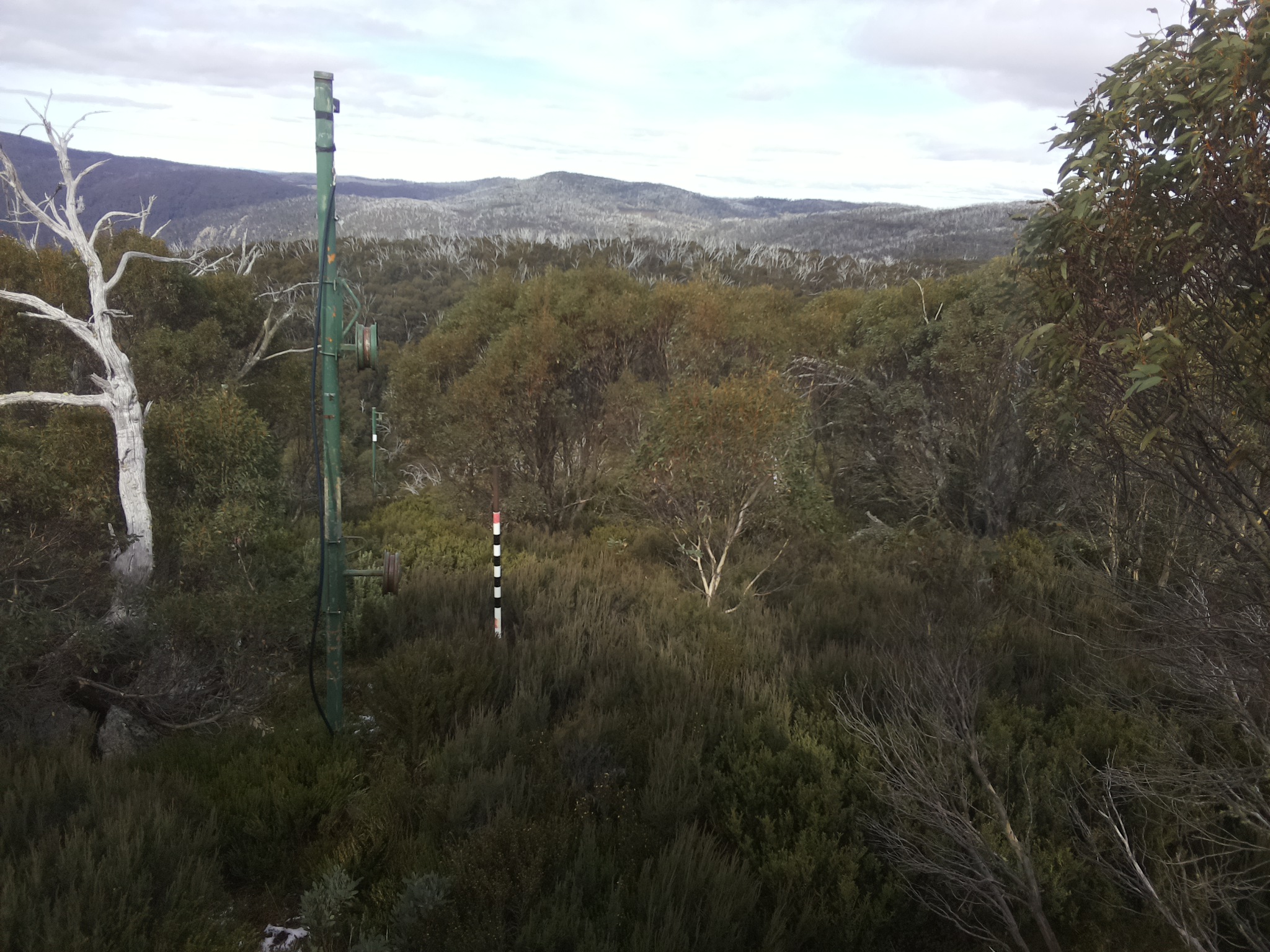 Bogong Web Cam 1:10pm Wednesday 21st of May 2025