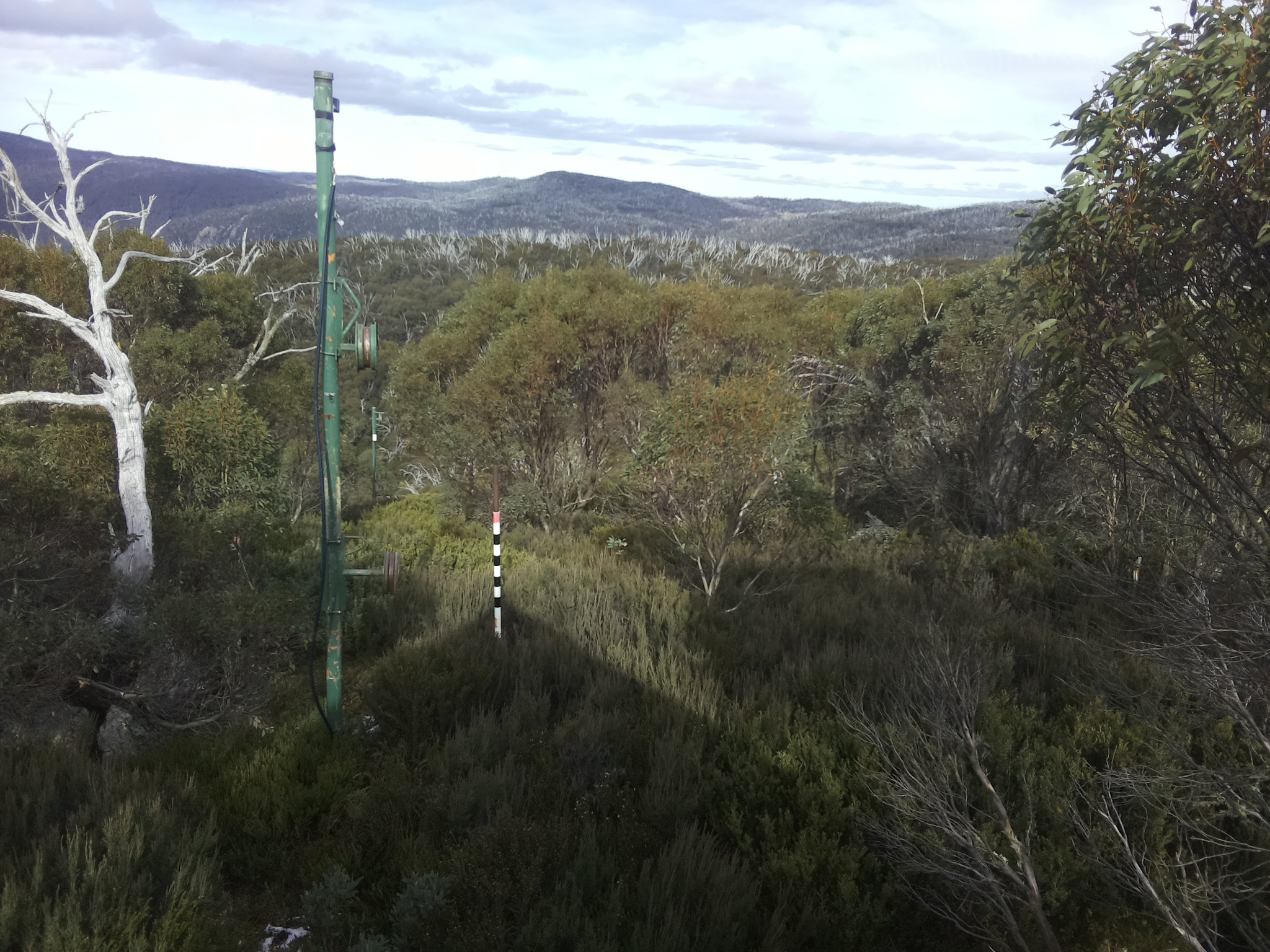 Bogong Web Cam 1:40pm Wednesday 21st of May 2025