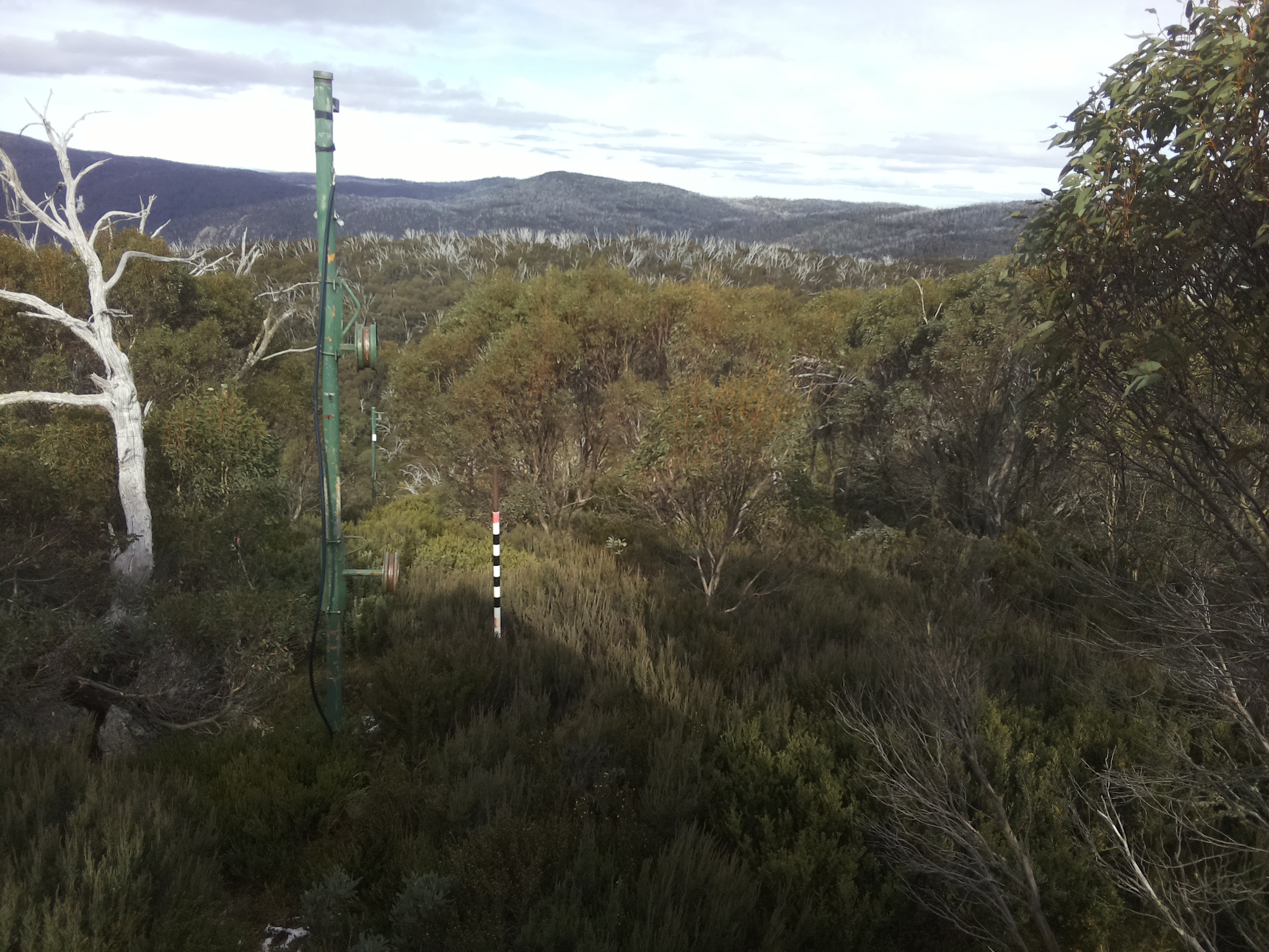 Bogong Web Cam 1:50pm Wednesday 21st of May 2025