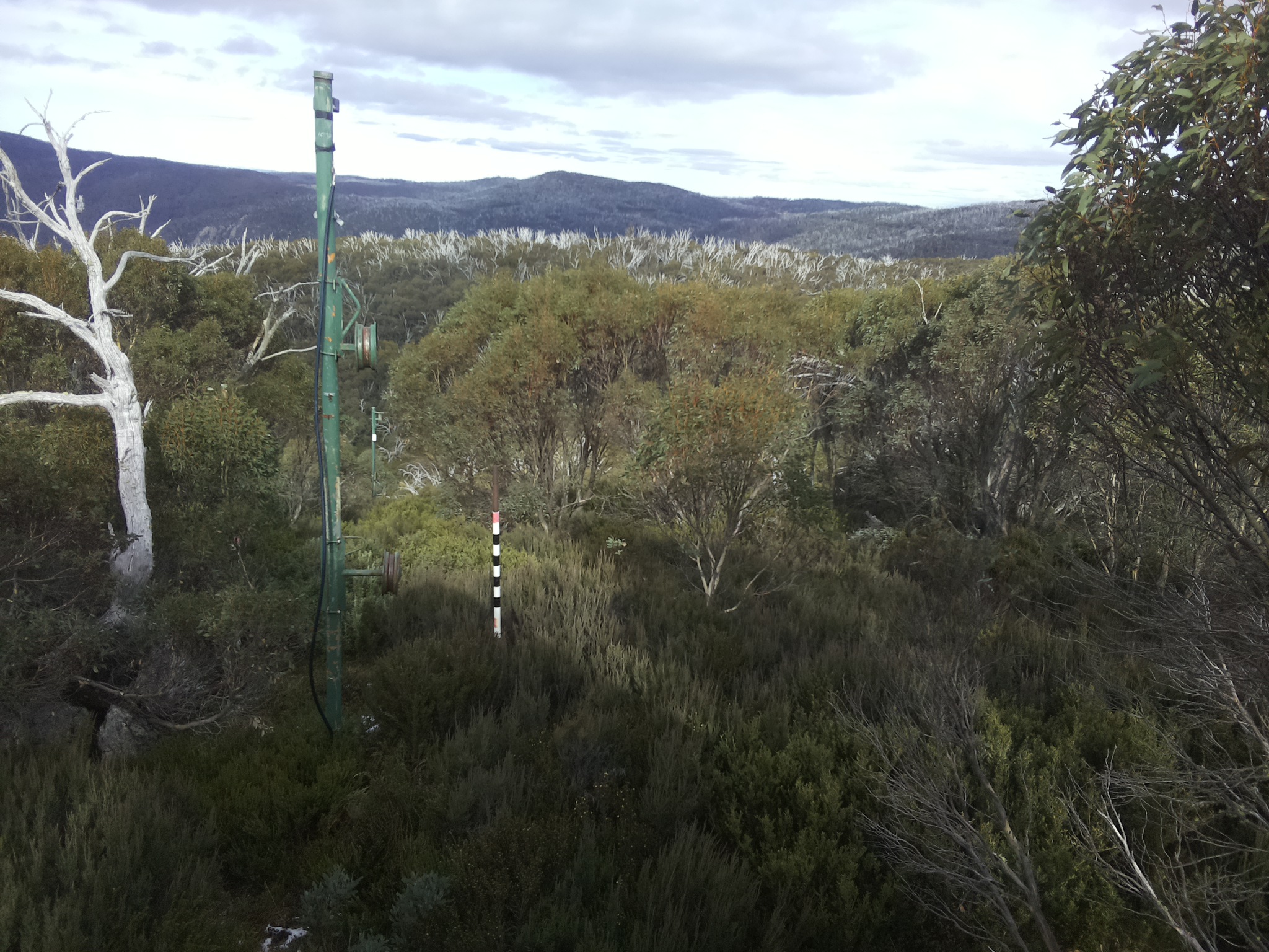 Bogong Web Cam 2:00pm Wednesday 21st of May 2025