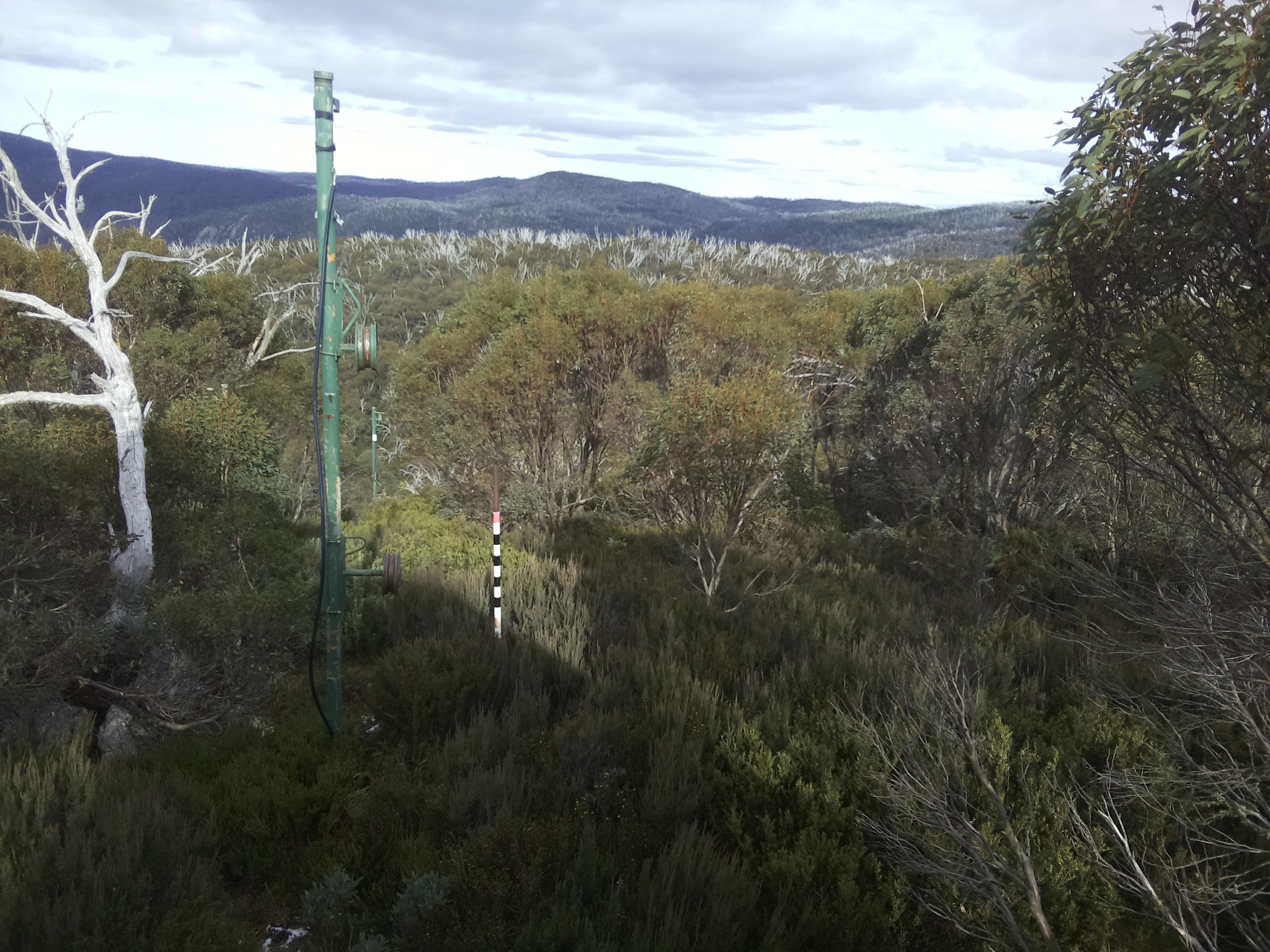 Bogong Web Cam 2:10pm Wednesday 21st of May 2025