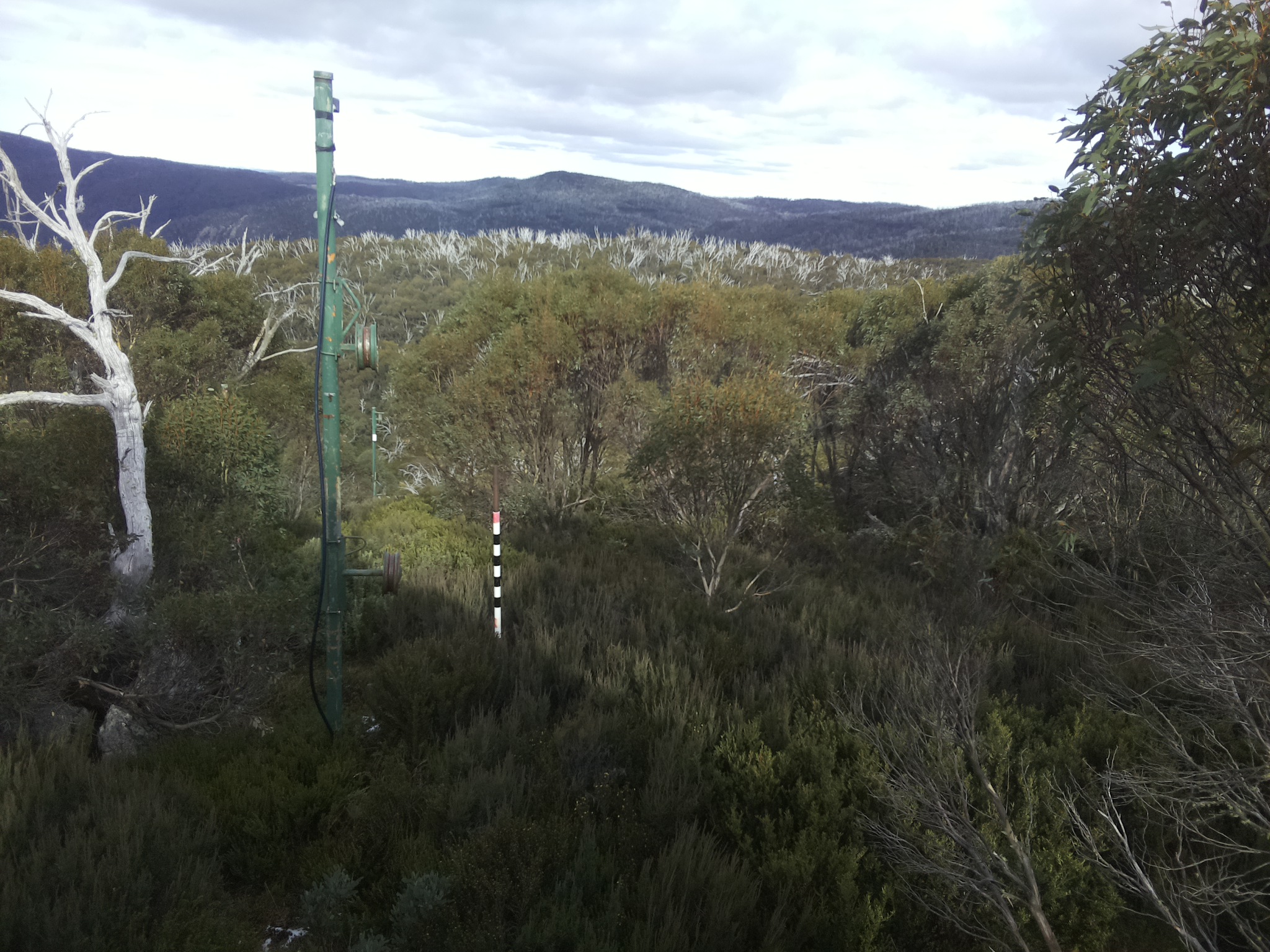 Bogong Web Cam 2:20pm Wednesday 21st of May 2025