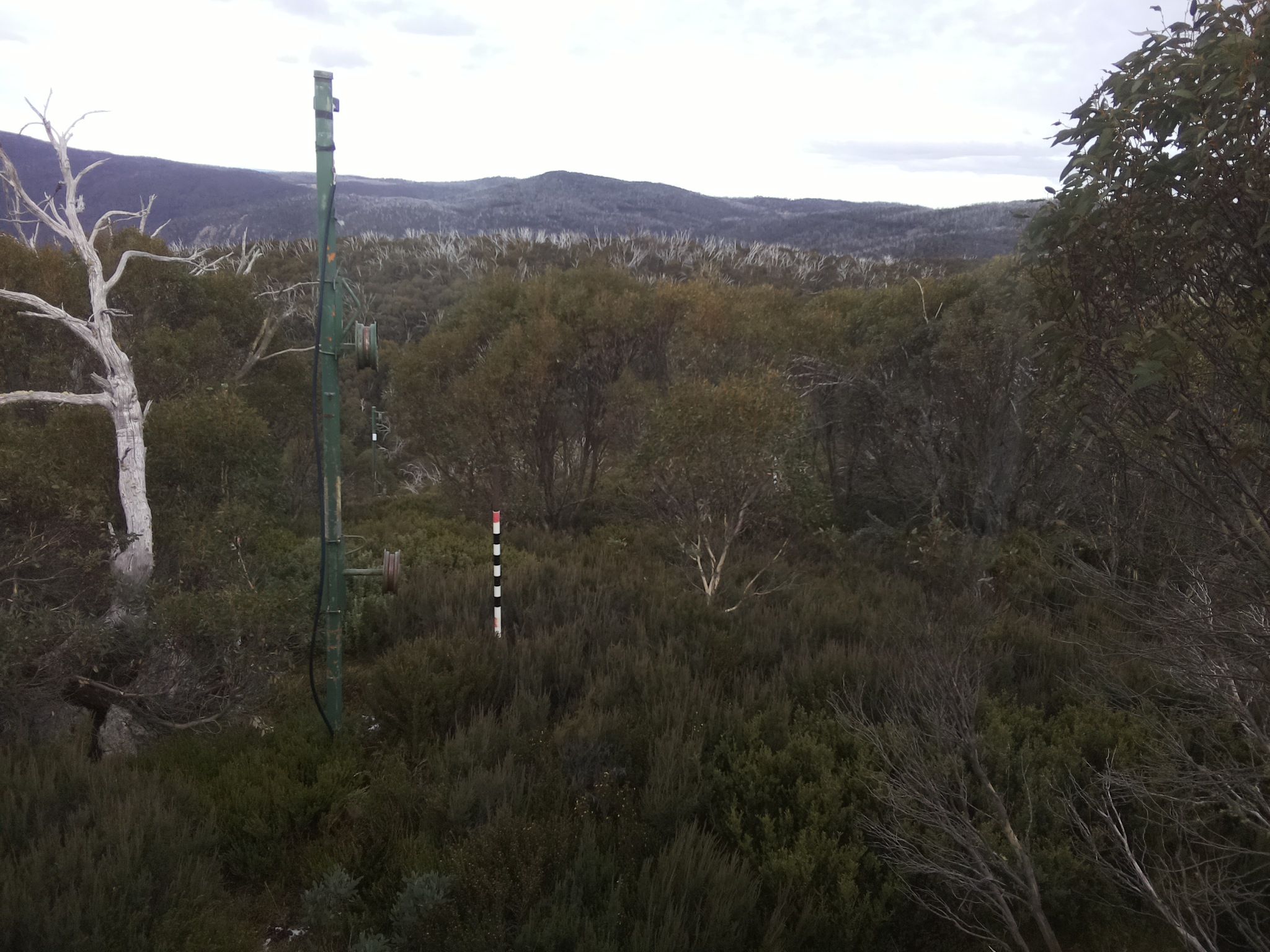 Bogong Web Cam 2:50pm Wednesday 21st of May 2025