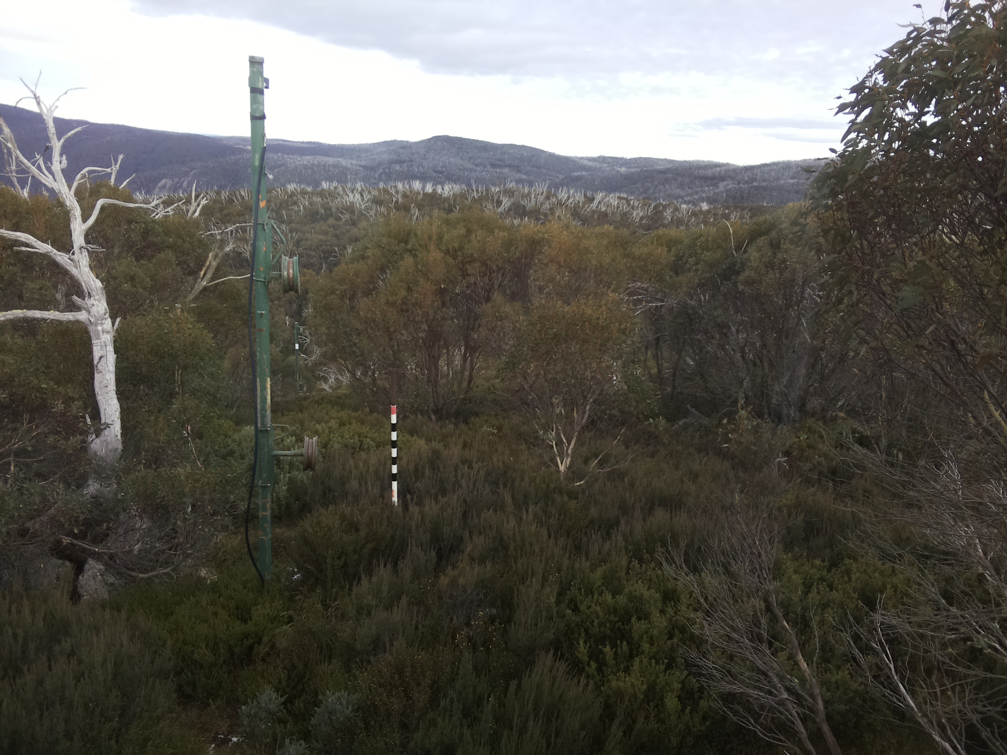 Bogong Web Cam 3:00pm Wednesday 21st of May 2025