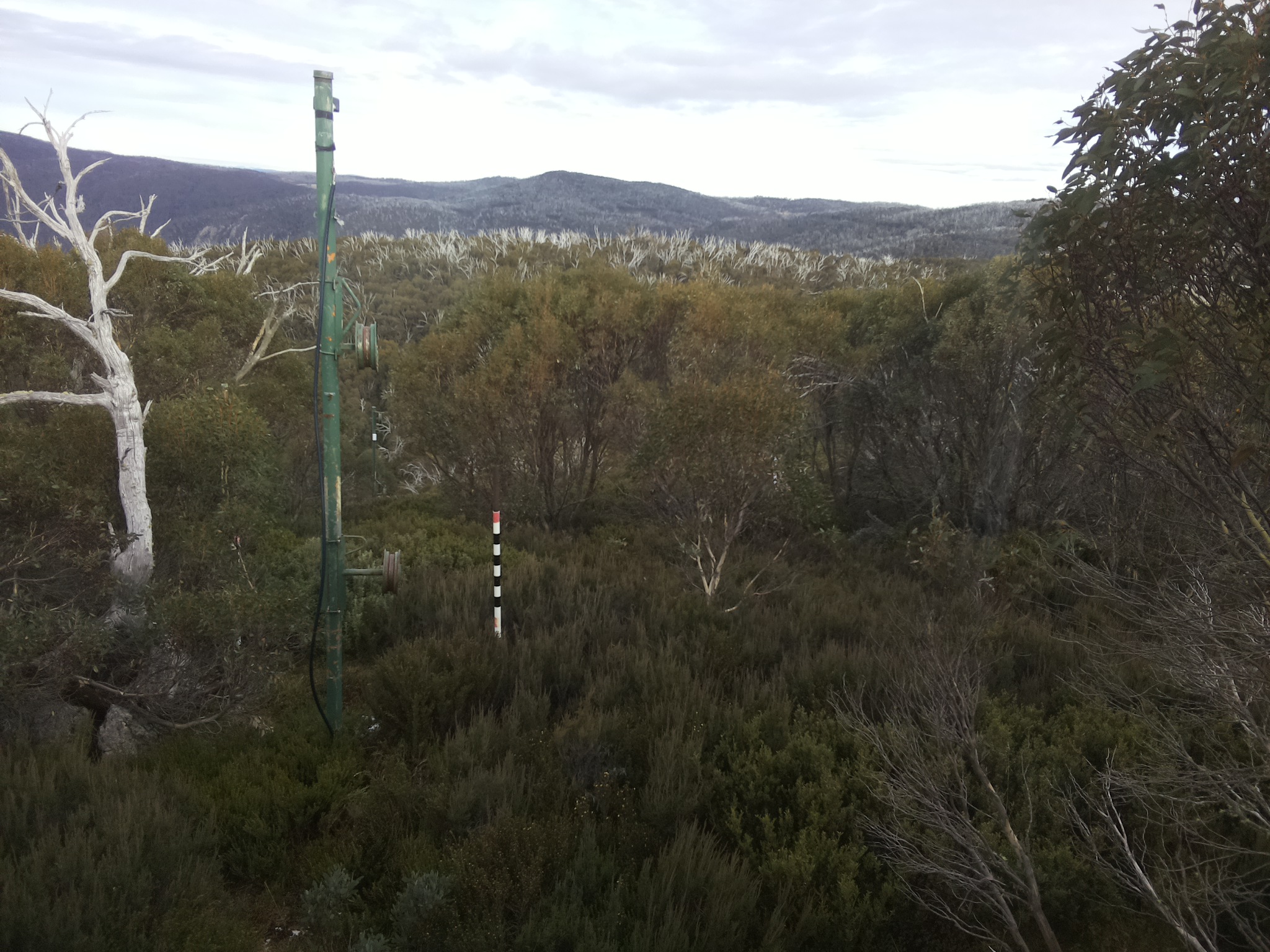 Bogong Web Cam 3:10pm Wednesday 21st of May 2025