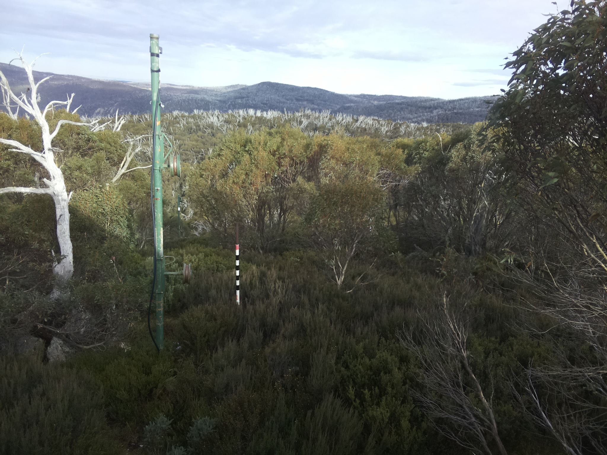 Bogong Web Cam 3:20pm Wednesday 21st of May 2025