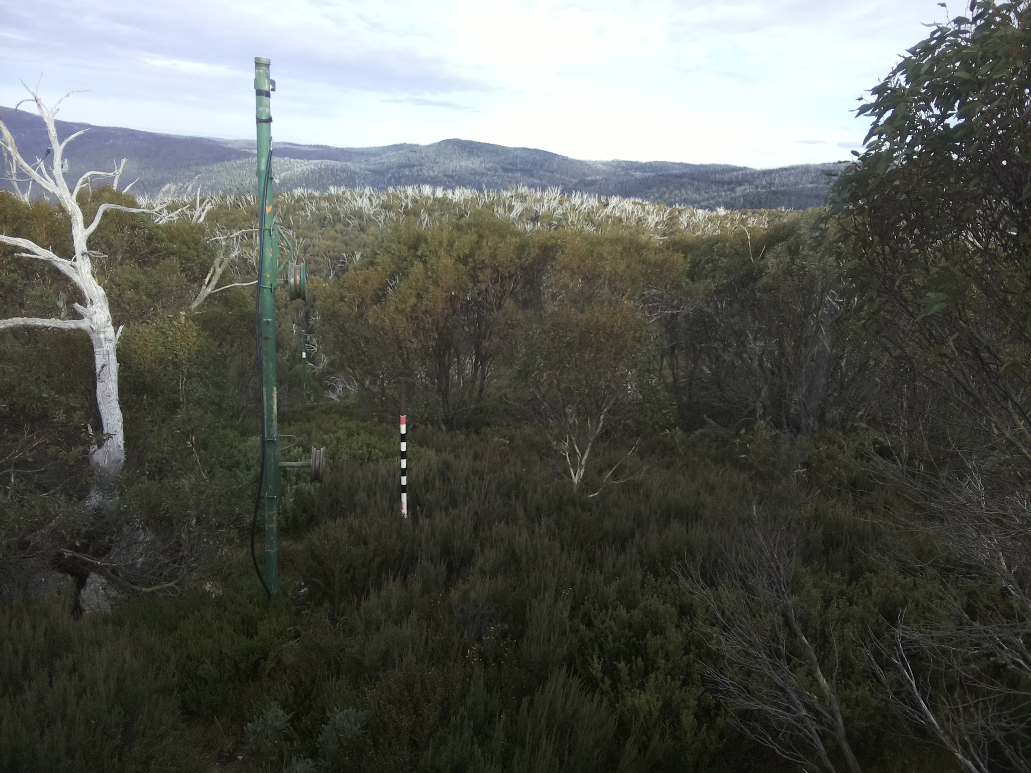 Bogong Web Cam 3:30pm Wednesday 21st of May 2025